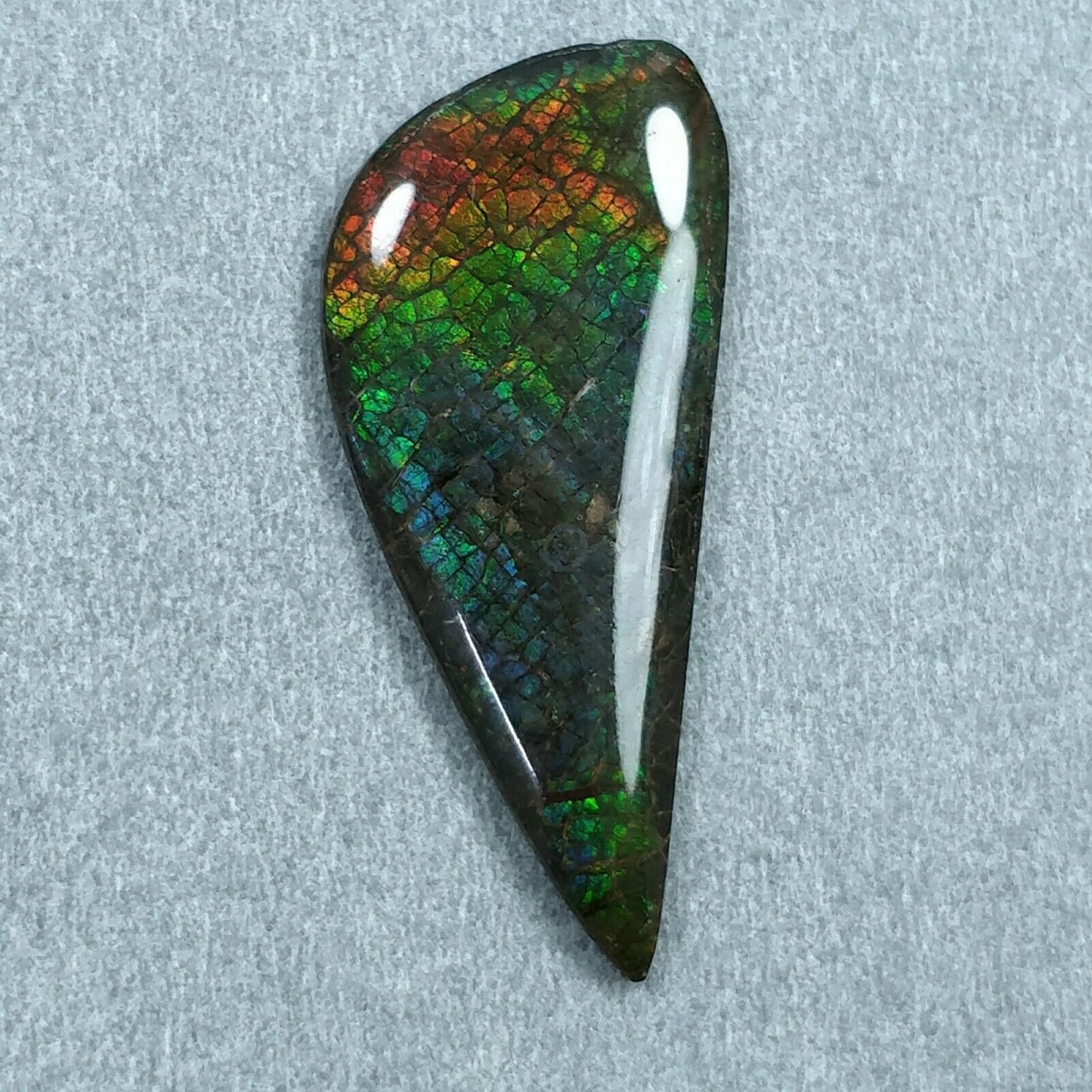 Ammolite Pendant