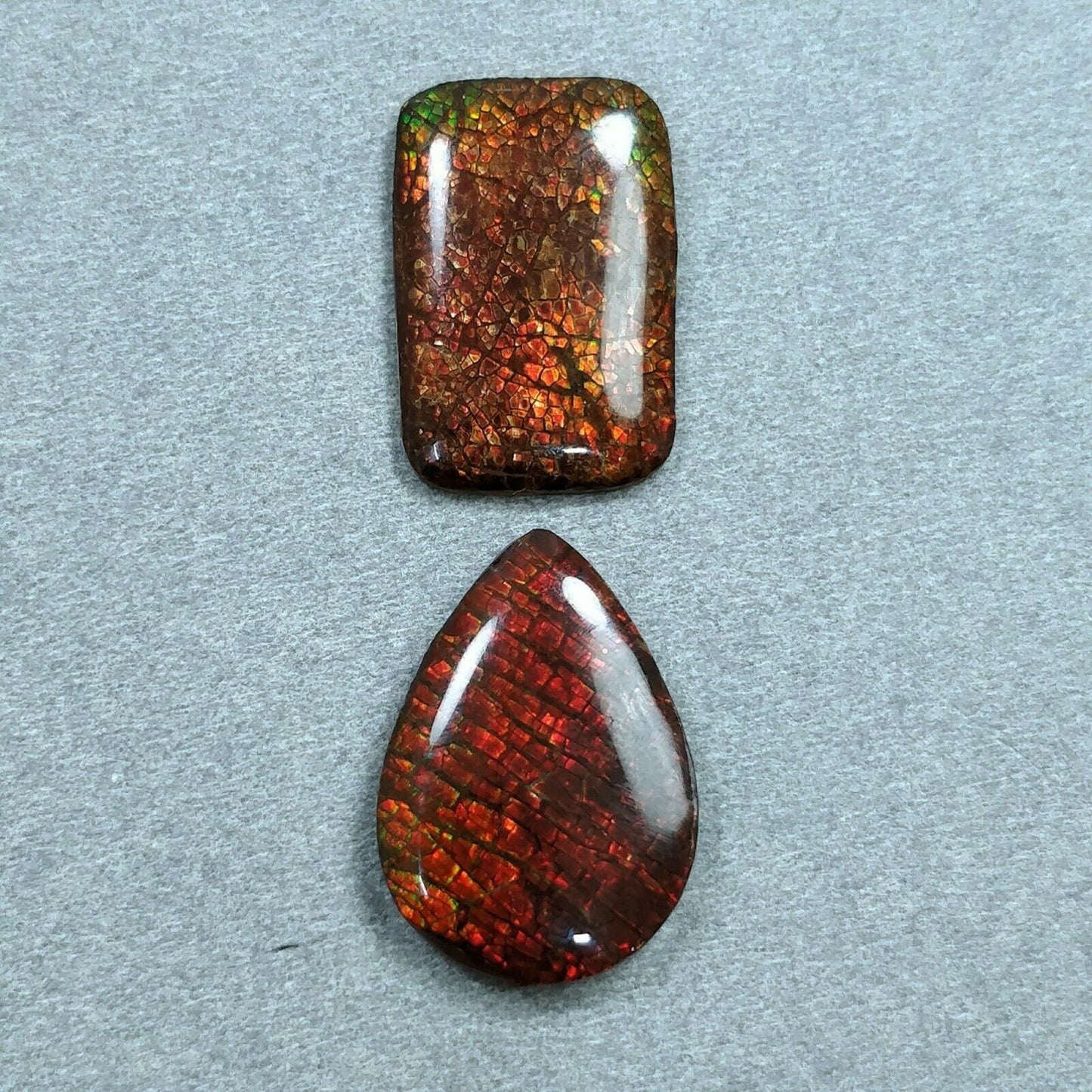 AMMOLITE Gemstone Cabochon : Natural Fossilized Shell Bi-Color Ammolite Pear Shape Cabochon 21*14.5mm - 22*16mm 1pc