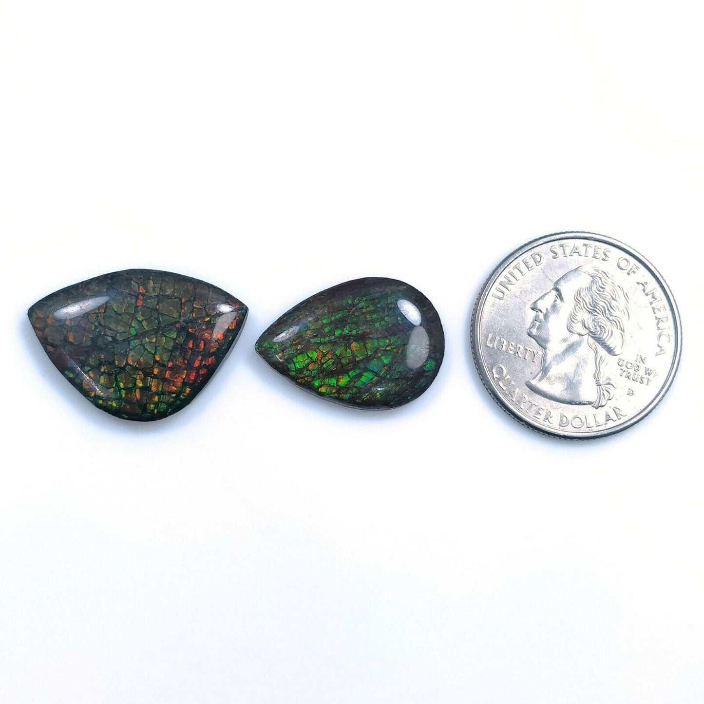 Ammolite Ring