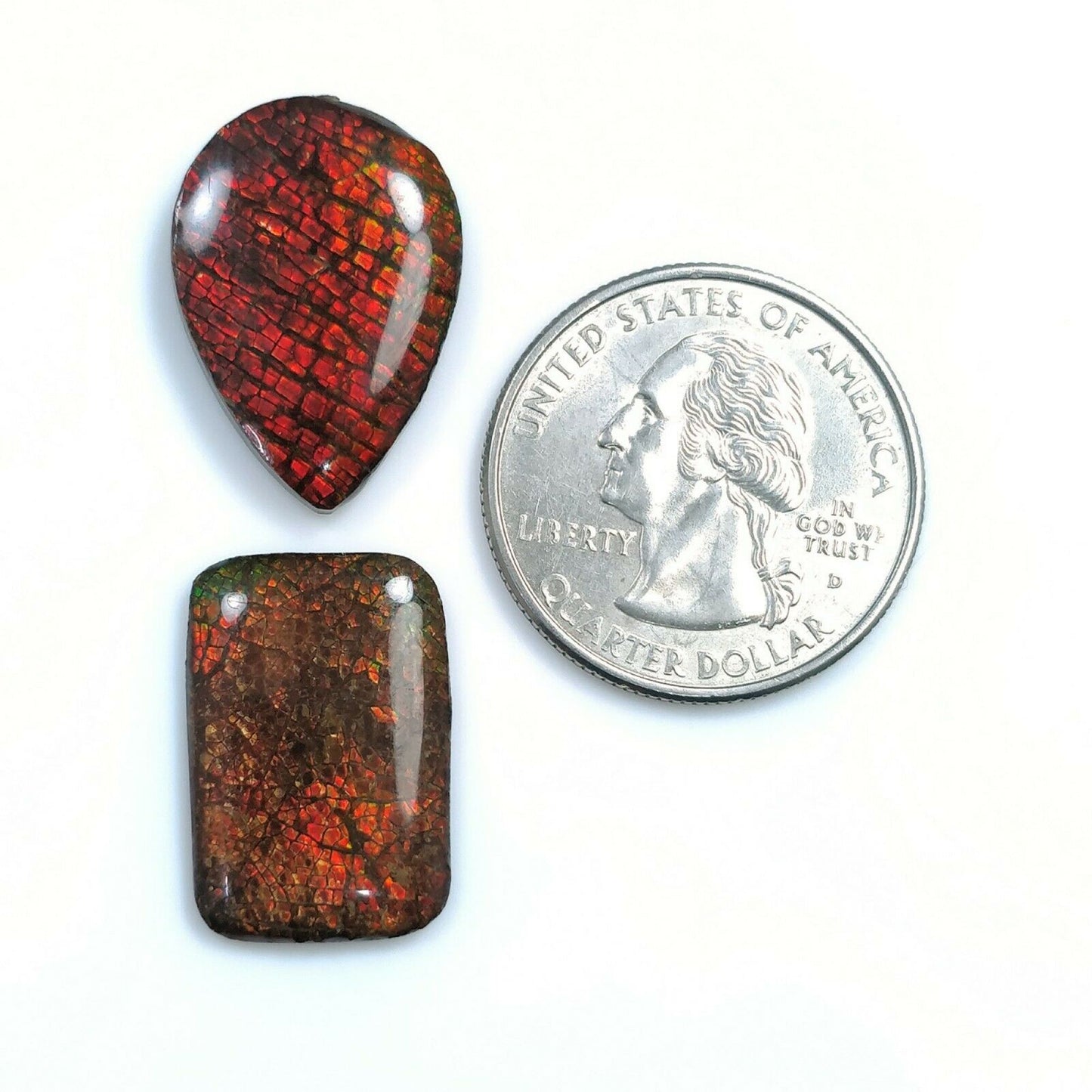 AMMOLITE Gemstone Cabochon : Natural Fossilized Shell Bi-Color Ammolite Pear Shape Cabochon 21*14.5mm - 22*16mm 1pc