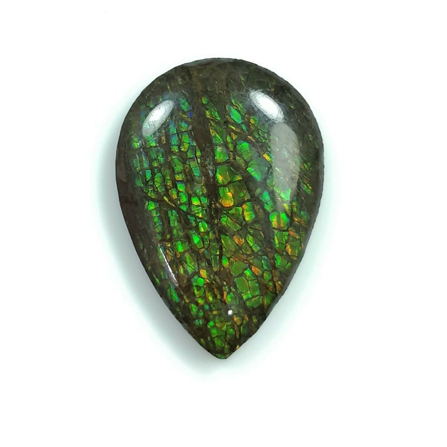 Ammolite Earring