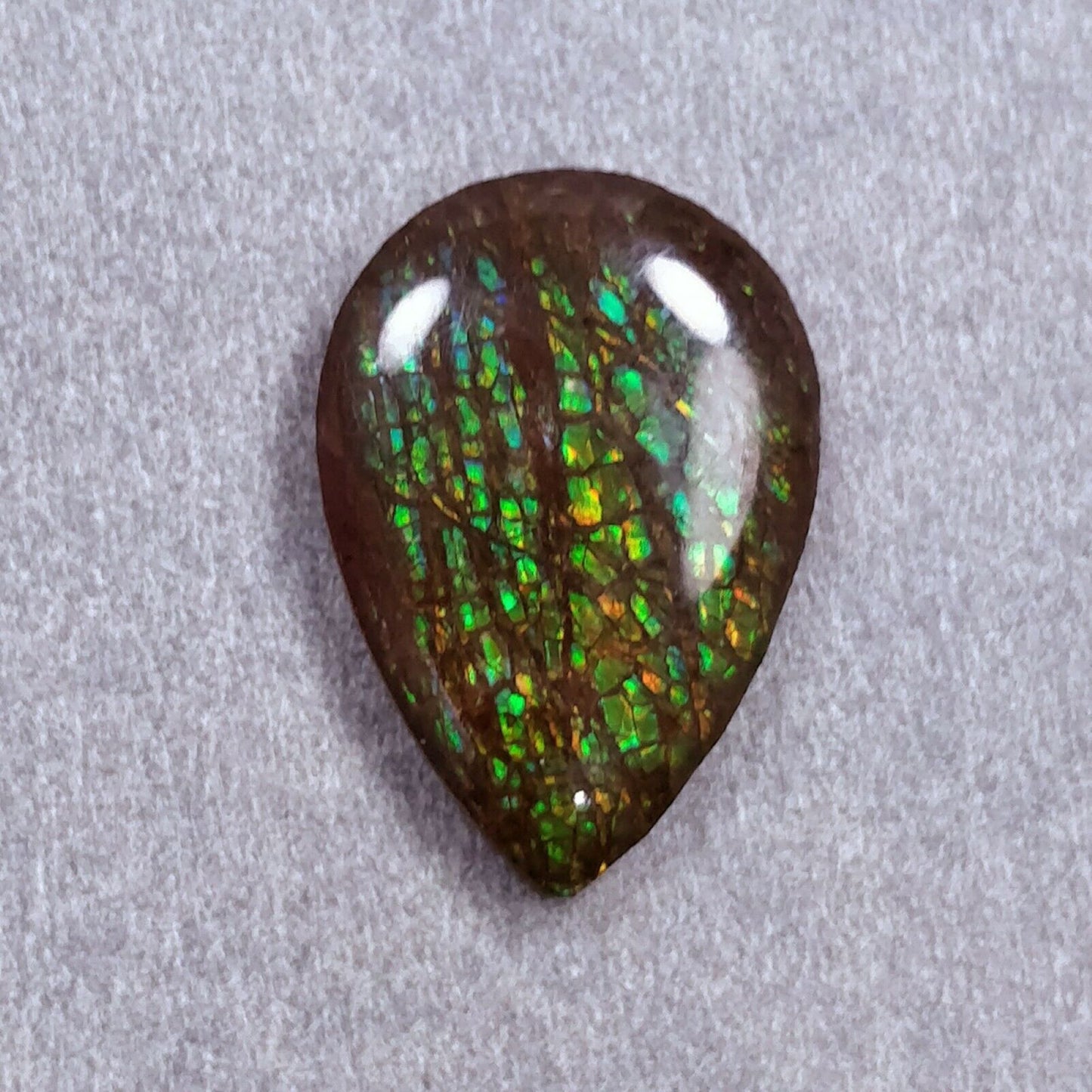 Ammolite Jewelry