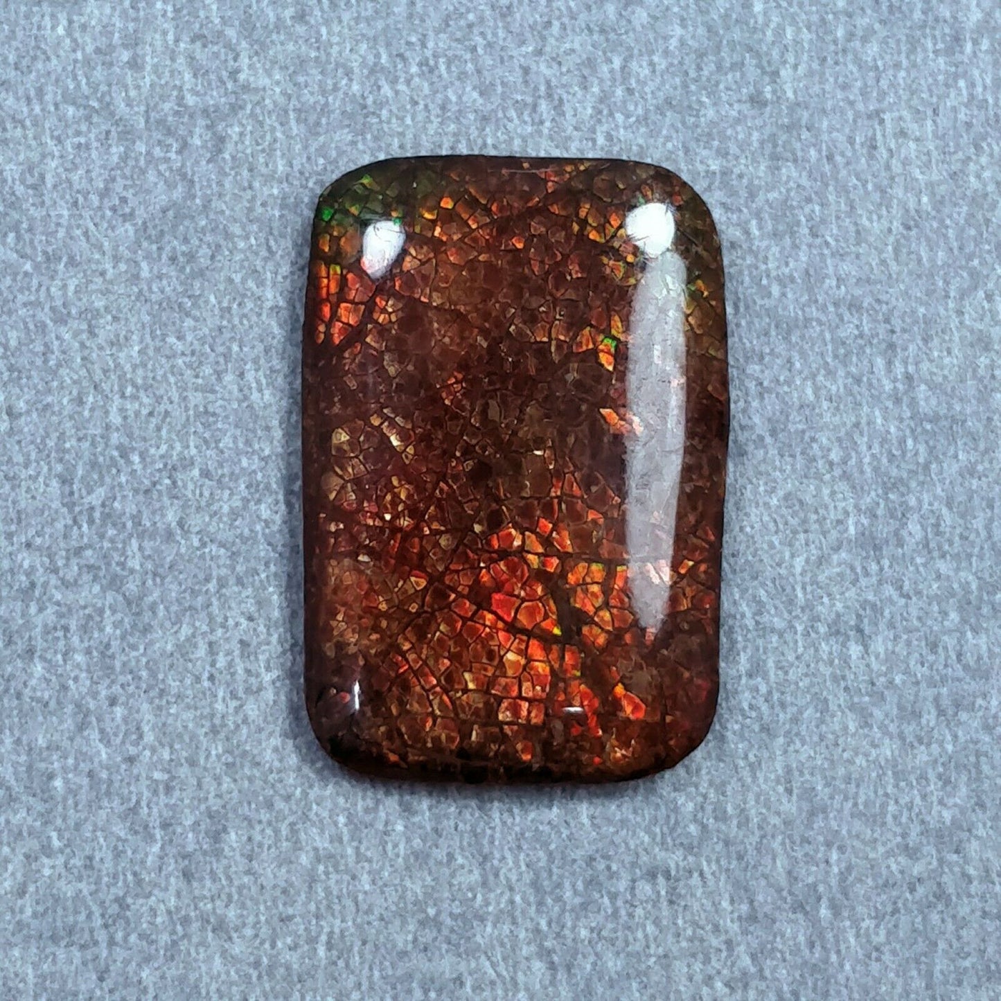 AMMOLITE Gemstone Cabochon : Natural Fossilized Shell Bi-Color Ammolite Pear Shape Cabochon 21*14.5mm - 22*16mm 1pc
