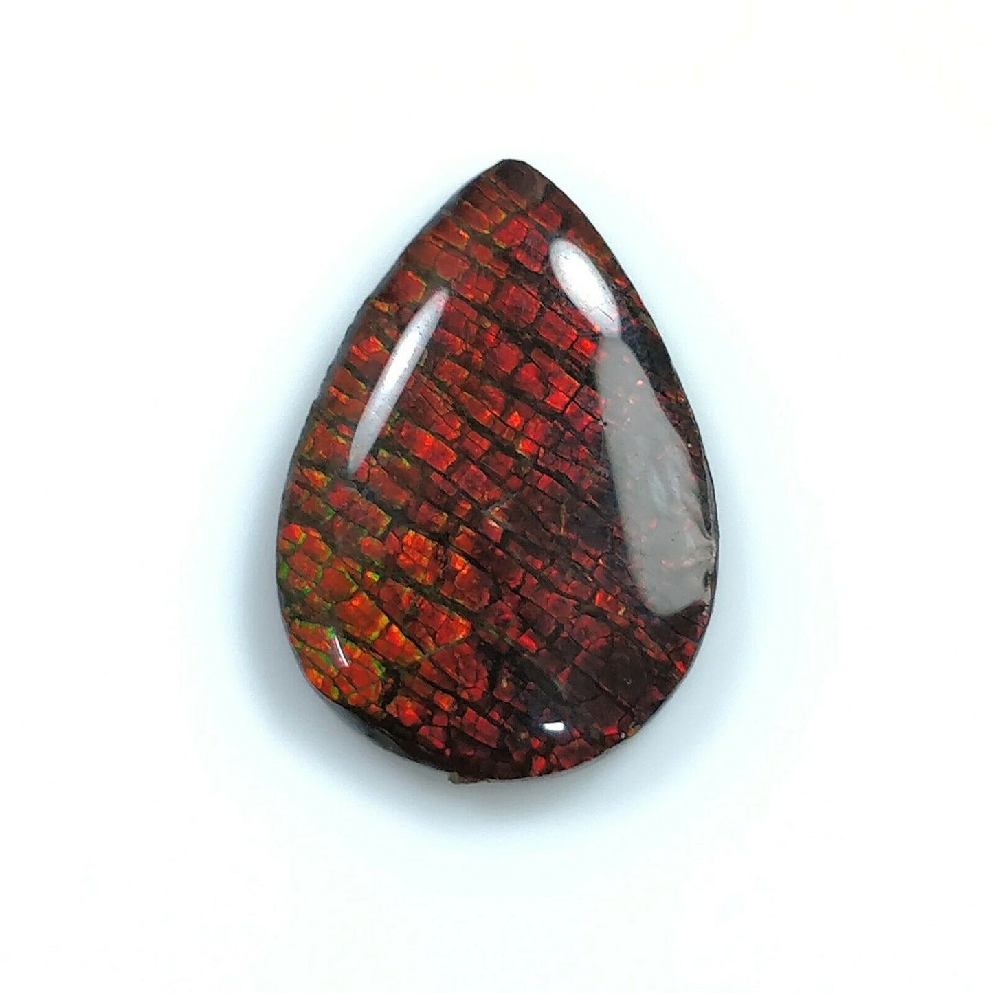 AMMOLITE Gemstone Cabochon : Natural Fossilized Shell Bi-Color Ammolite Pear Shape Cabochon 21*14.5mm - 22*16mm 1pc