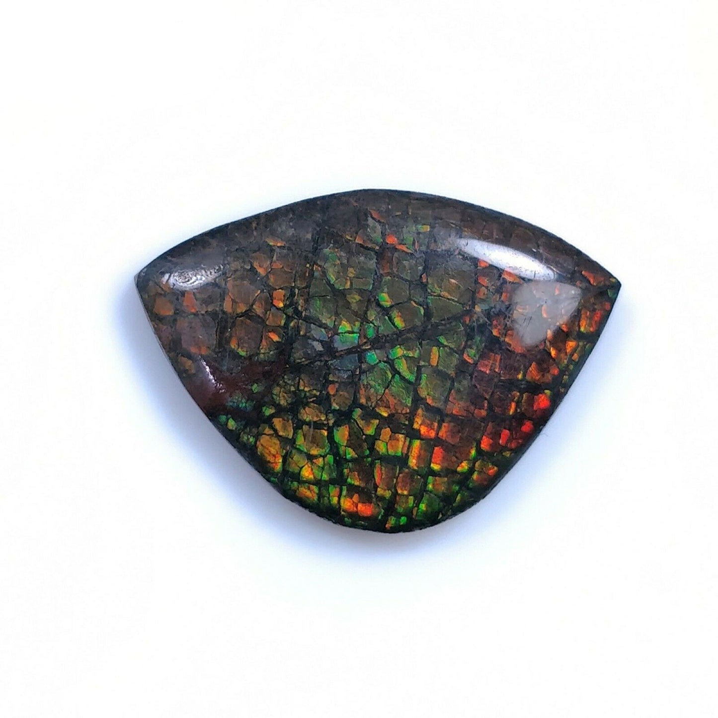 Ammolite Jewelry