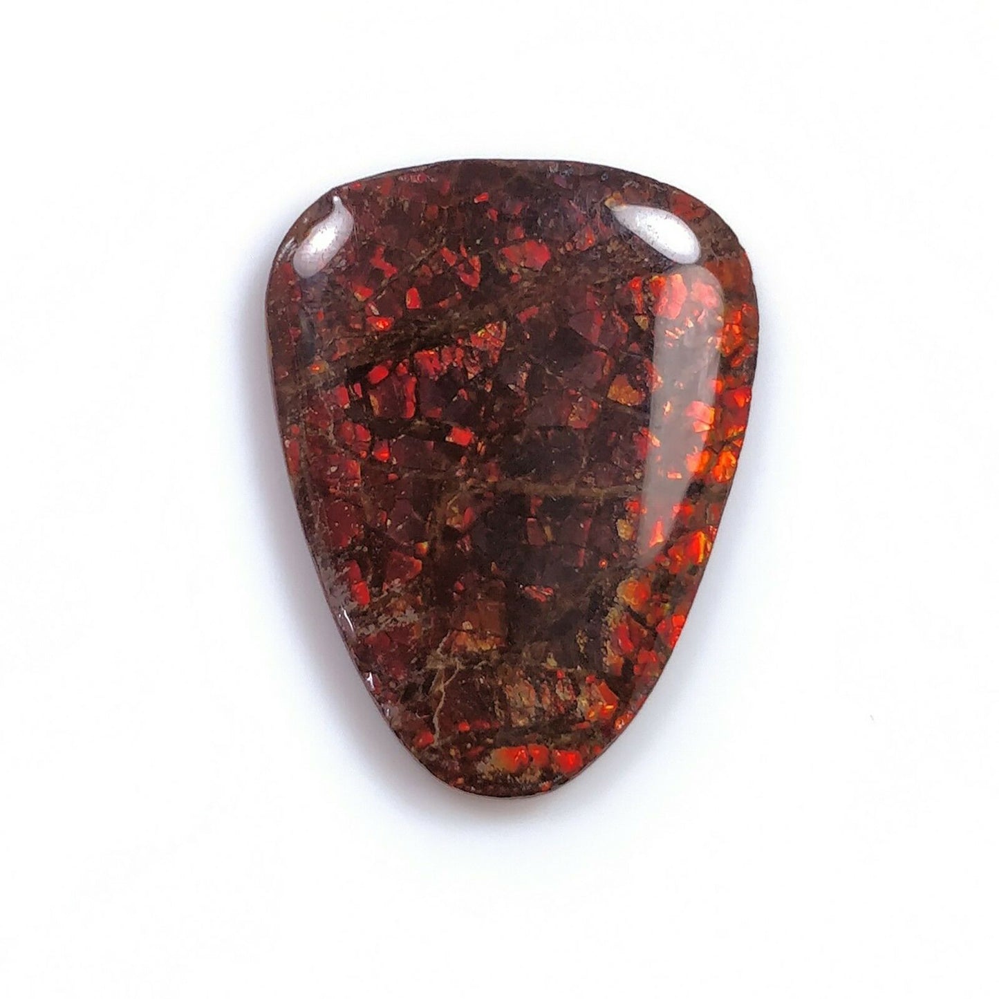 Ammolite Ring