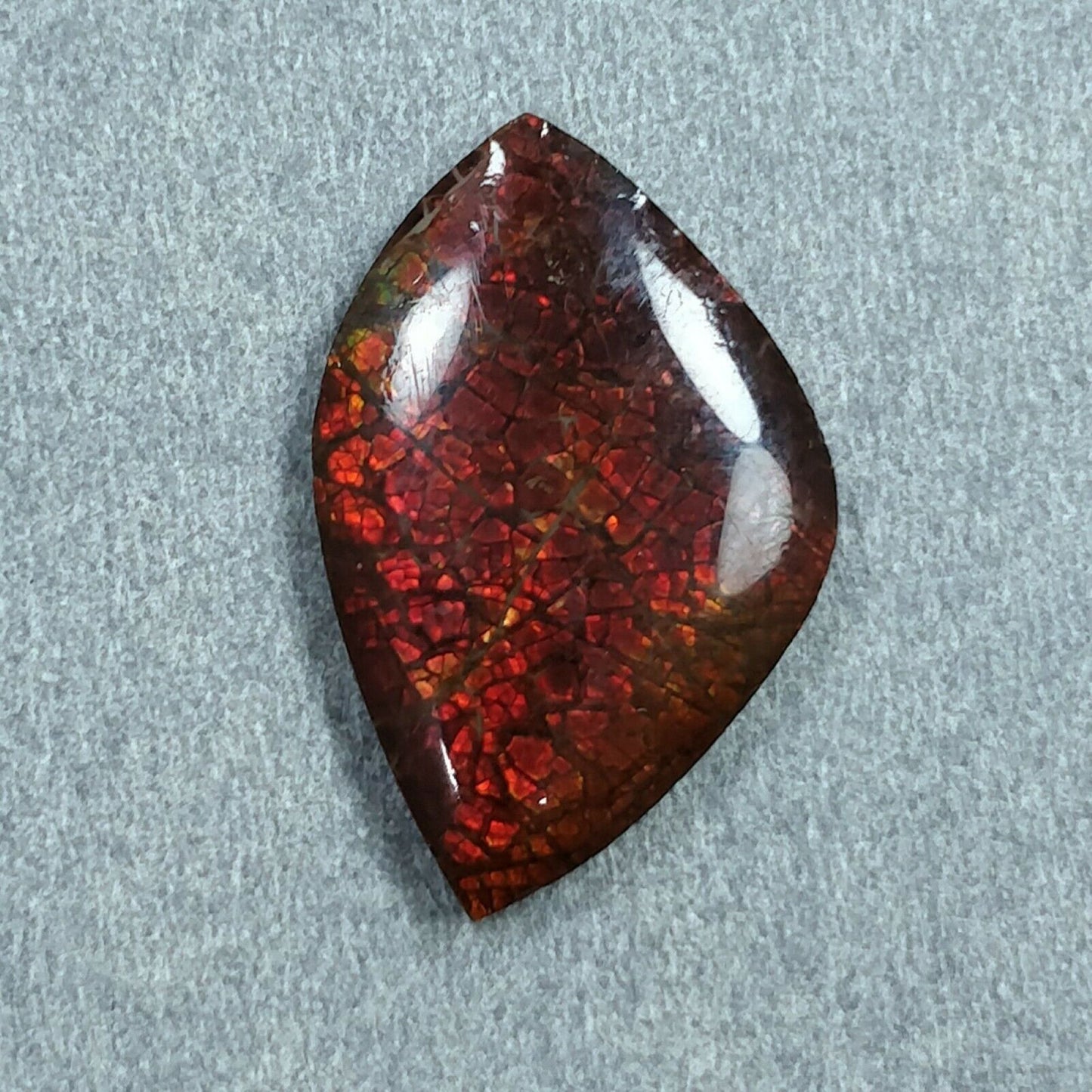 Ammolite Earring
