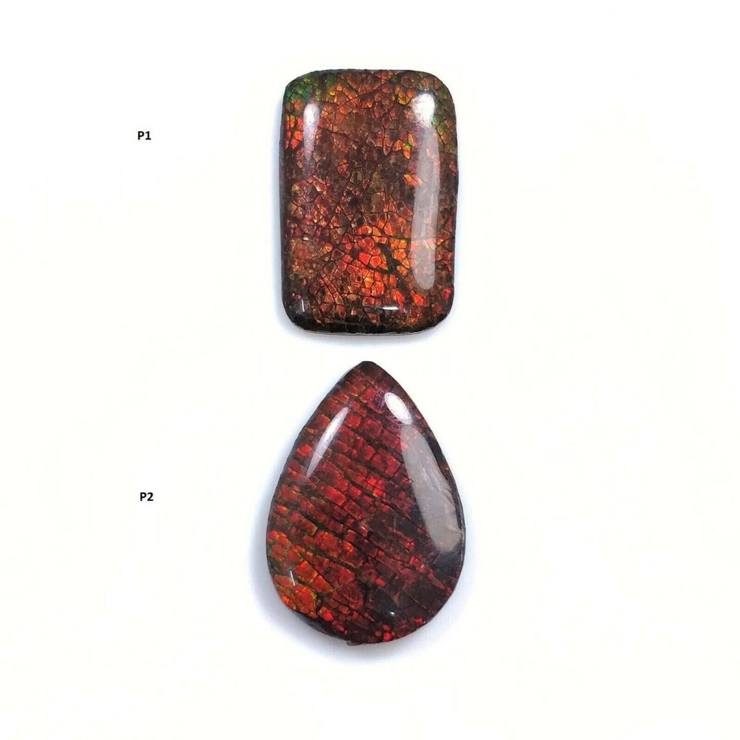 AMMOLITE Gemstone Cabochon : Natural Fossilized Shell Bi-Color Ammolite Pear Shape Cabochon 21*14.5mm - 22*16mm 1pc