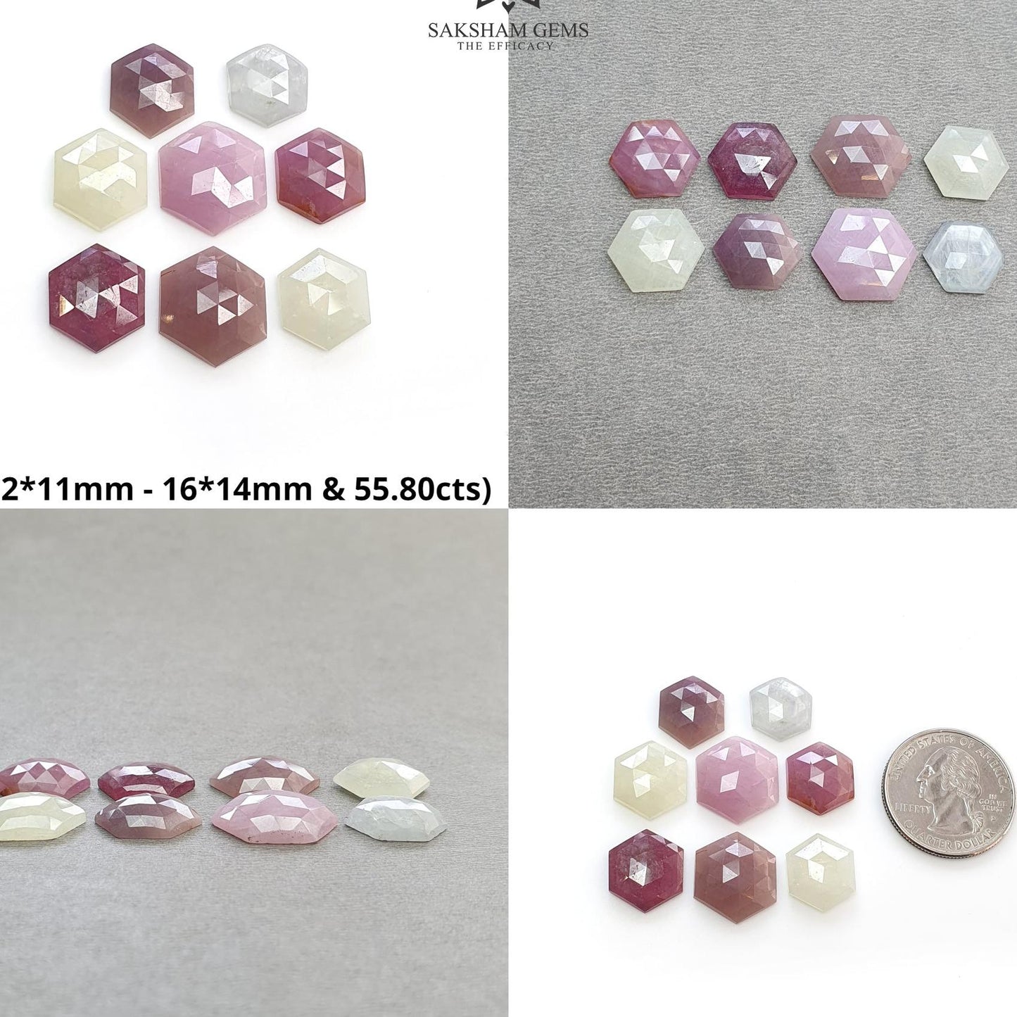 MULTI SAPPHIRE Gemstone Rose Cut : Natural Untreated Unheated Sapphire Bi-Color Hexagon Shape 8pcs Set