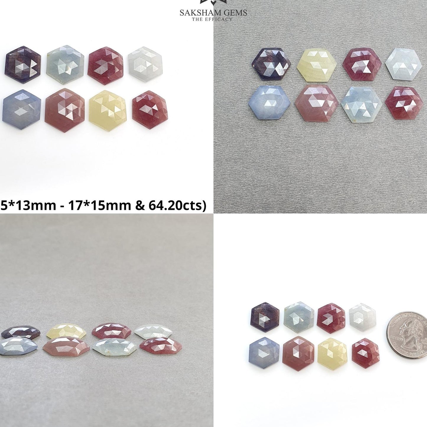 MULTI SAPPHIRE Gemstone Rose Cut : Natural Untreated Unheated Sapphire Bi-Color Hexagon Shape 8pcs Set
