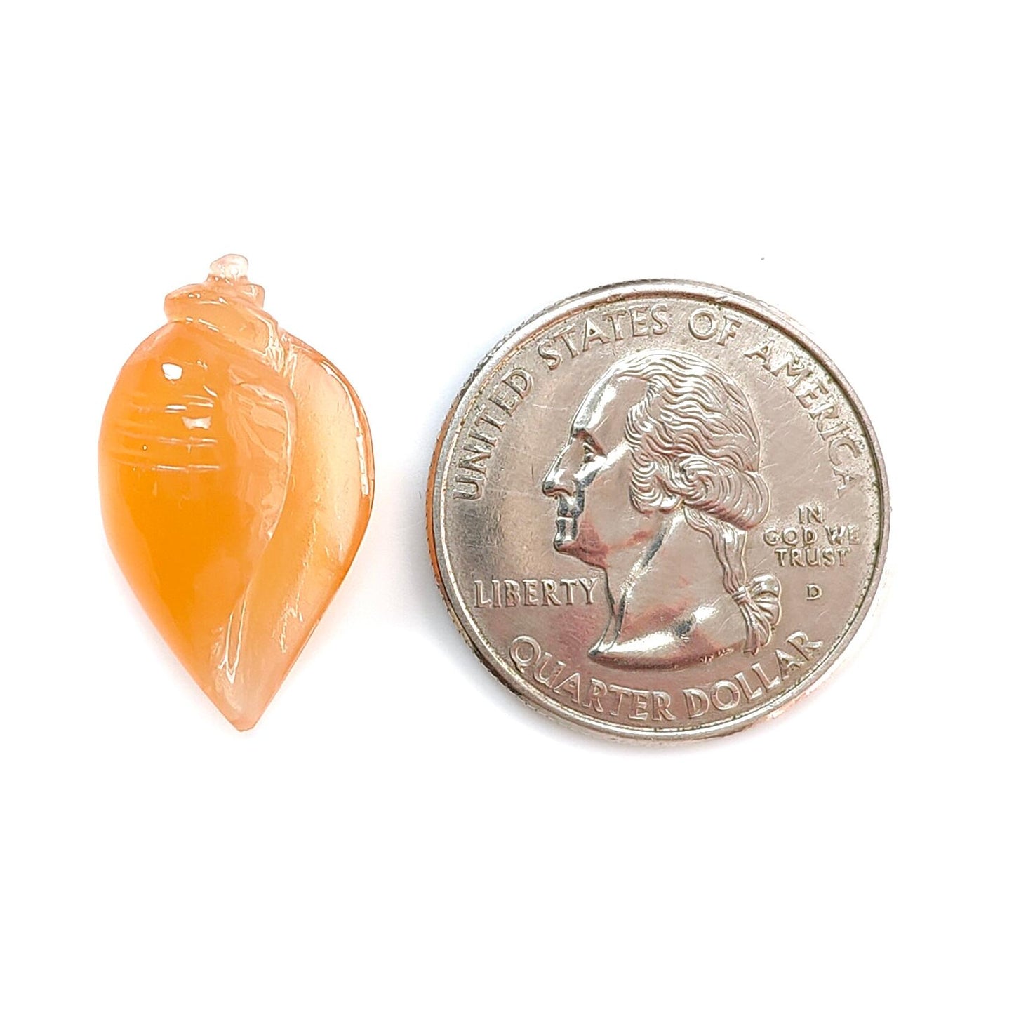 Multi Color Botswana Agate Gemstone Carving: Natural Untreated Bi-Color Agate Hand Carved Sea Shell & Butterfly 1pc, Pair for Jewelry