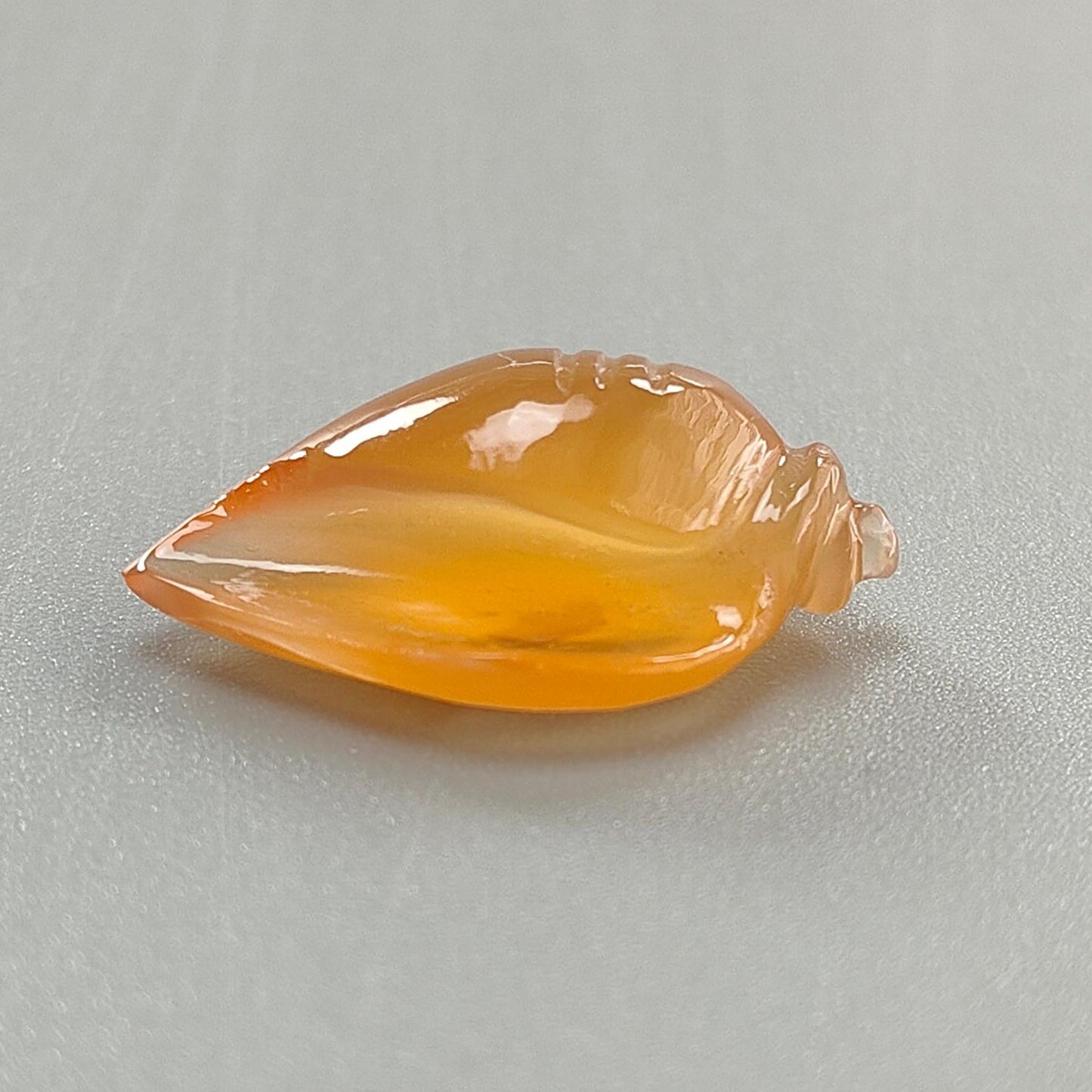 Multi Color Botswana Agate Gemstone Carving: Natural Untreated Bi-Color Agate Hand Carved Sea Shell & Butterfly 1pc, Pair for Jewelry