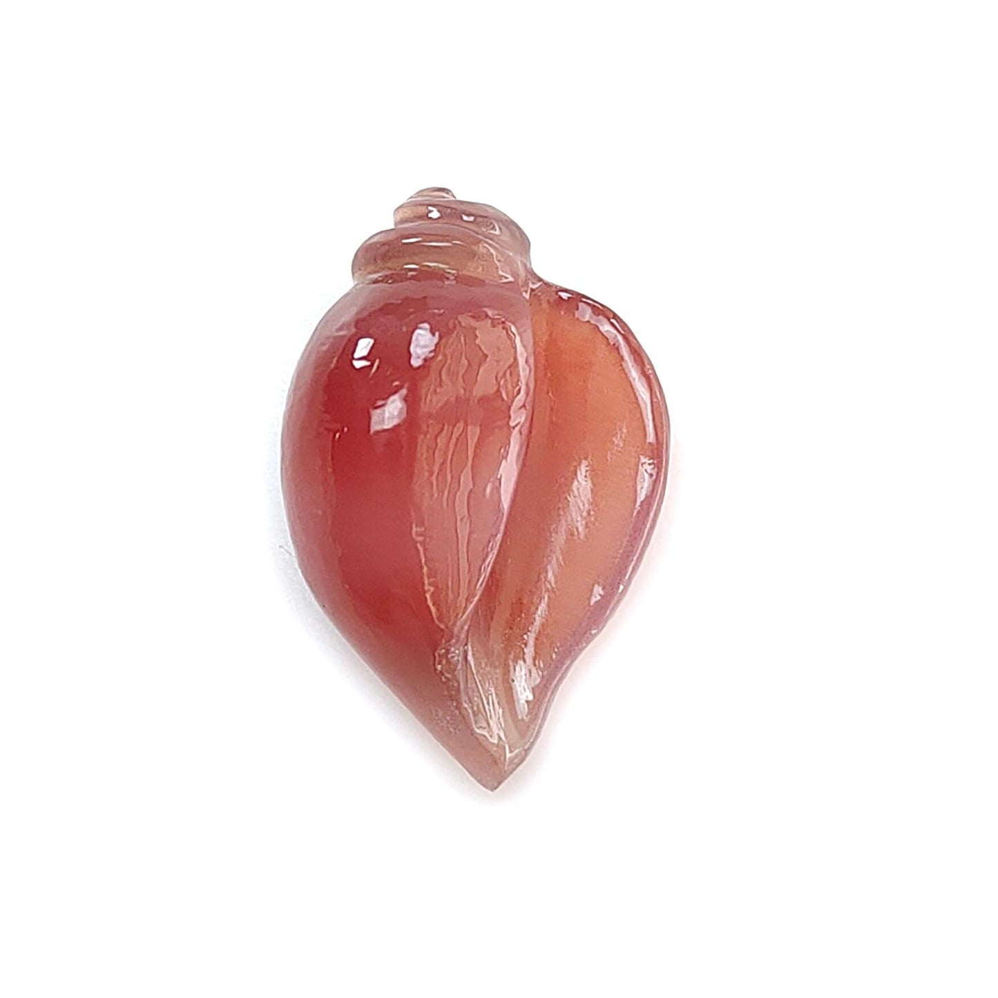 Multi Color Botswana Agate Gemstone Carving: Natural Untreated Bi-Color Agate Hand Carved Sea Shell & Butterfly 1pc, Pair for Jewelry