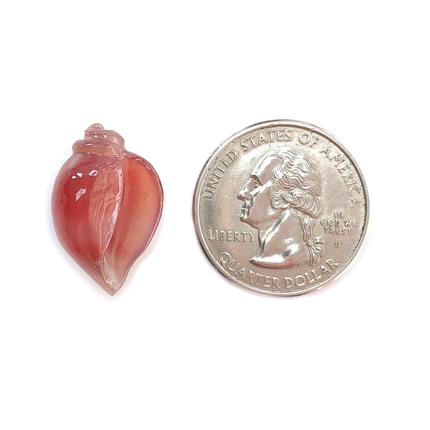 Multi Color Botswana Agate Gemstone Carving: Natural Untreated Bi-Color Agate Hand Carved Sea Shell & Butterfly 1pc, Pair for Jewelry