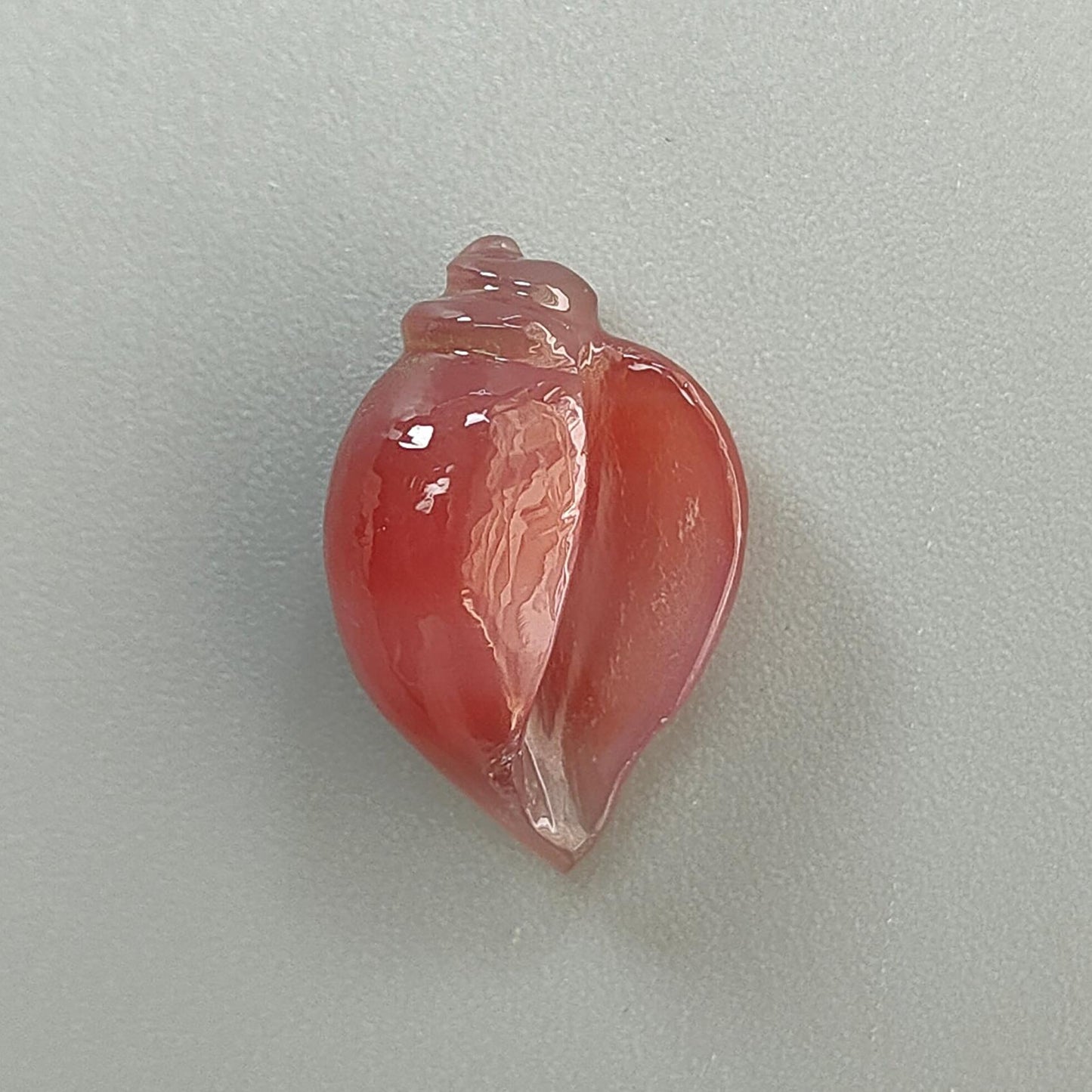 Multi Color Botswana Agate Gemstone Carving: Natural Untreated Bi-Color Agate Hand Carved Sea Shell & Butterfly 1pc, Pair for Jewelry