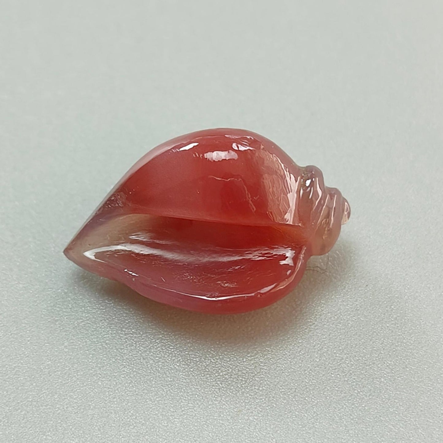 Multi Color Botswana Agate Gemstone Carving: Natural Untreated Bi-Color Agate Hand Carved Sea Shell & Butterfly 1pc, Pair for Jewelry