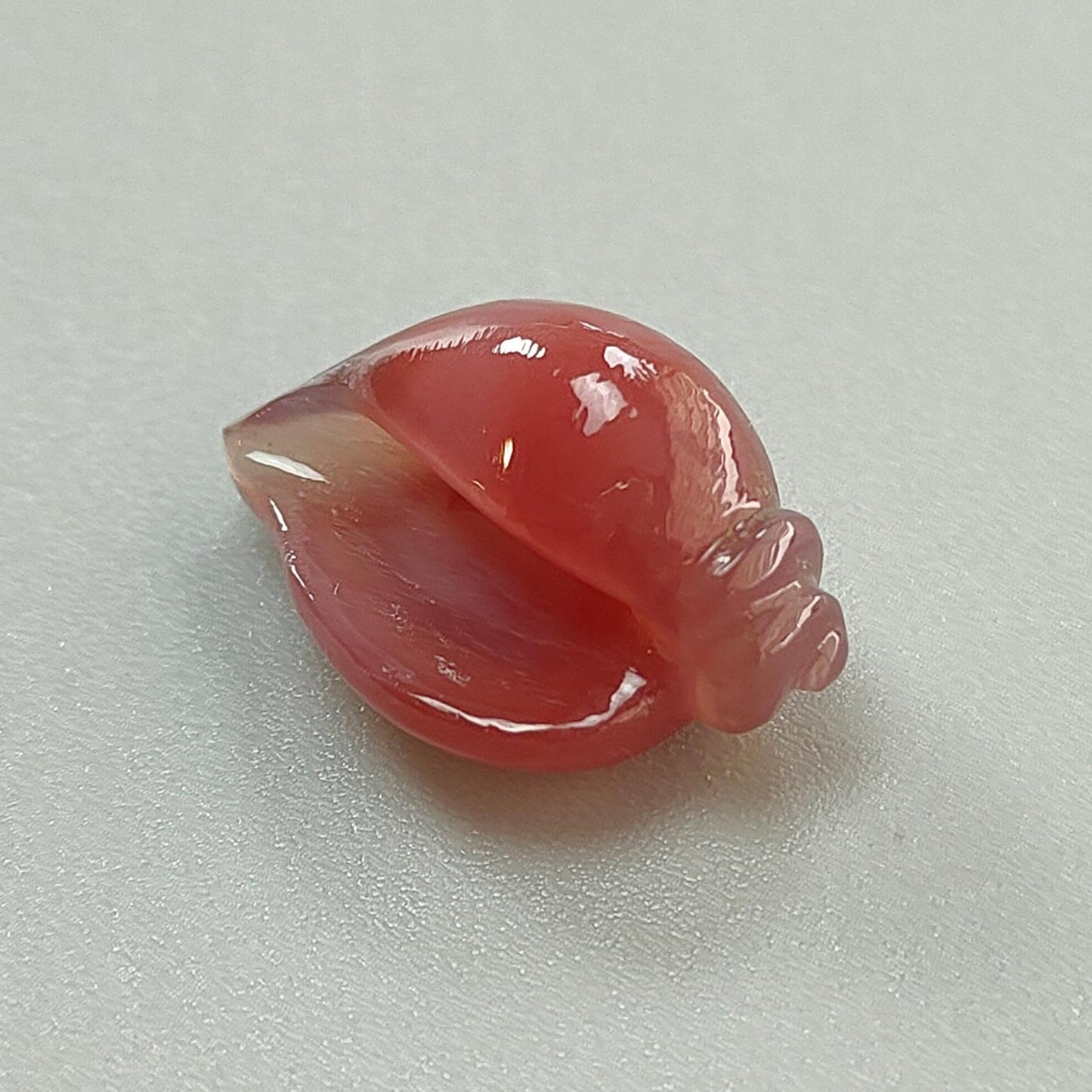 Multi Color Botswana Agate Gemstone Carving: Natural Untreated Bi-Color Agate Hand Carved Sea Shell & Butterfly 1pc, Pair for Jewelry