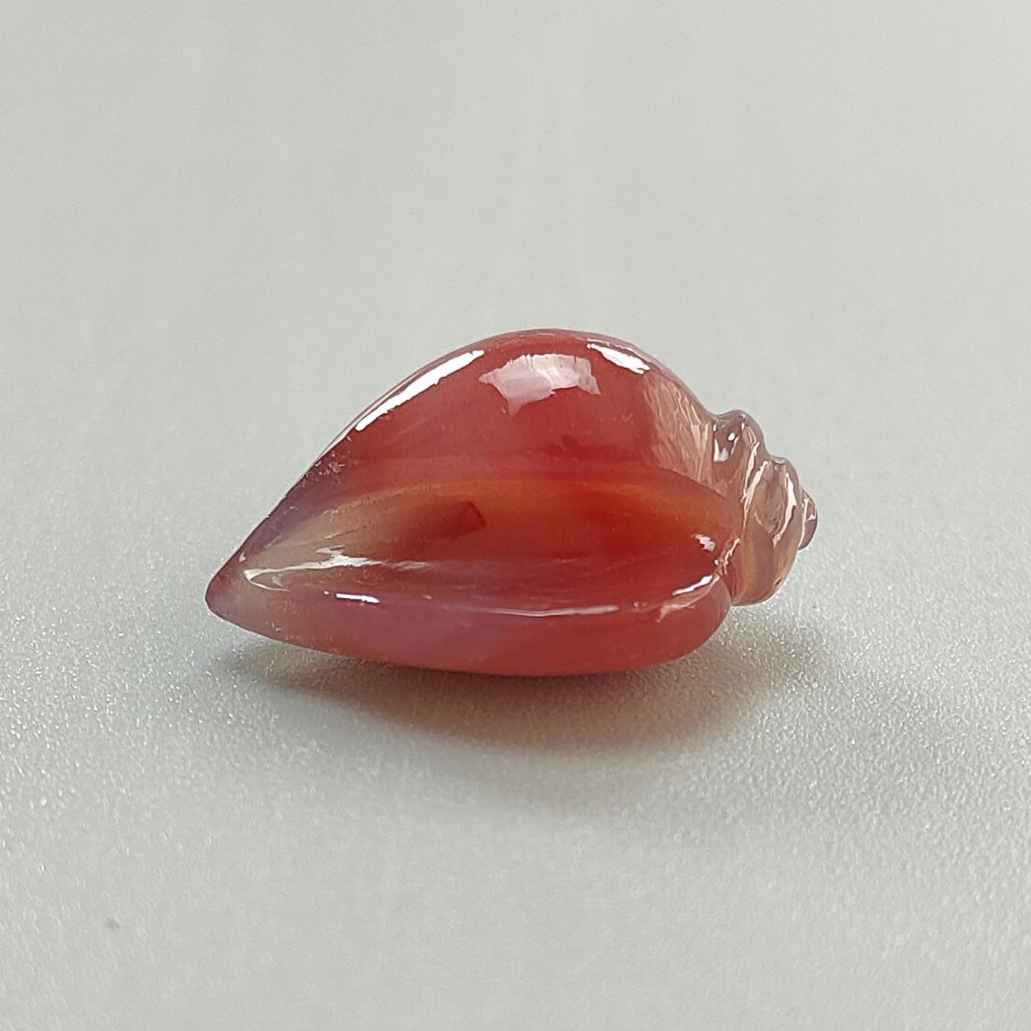 Multi Color Botswana Agate Gemstone Carving: Natural Untreated Bi-Color Agate Hand Carved Sea Shell & Butterfly 1pc, Pair for Jewelry