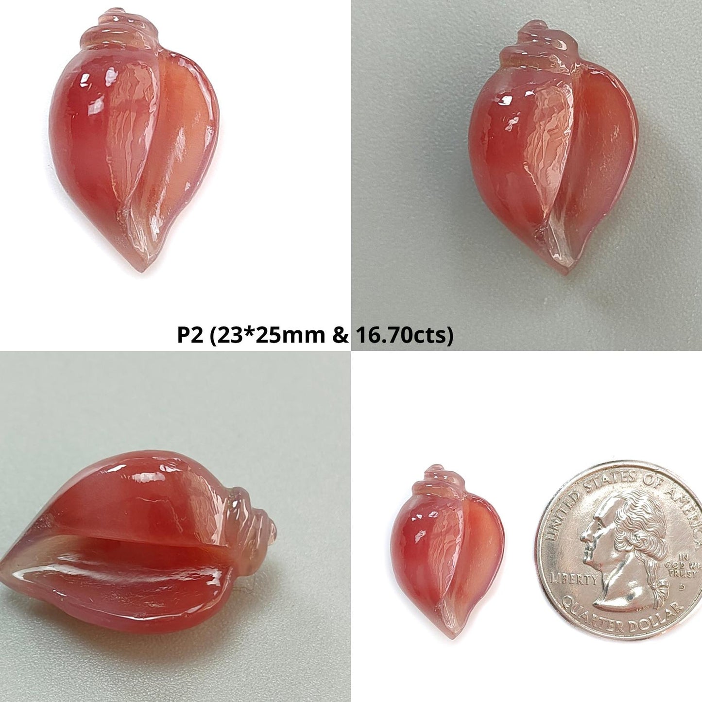 Multi Color Botswana Agate Gemstone Carving: Natural Untreated Bi-Color Agate Hand Carved Sea Shell & Butterfly 1pc, Pair for Jewelry