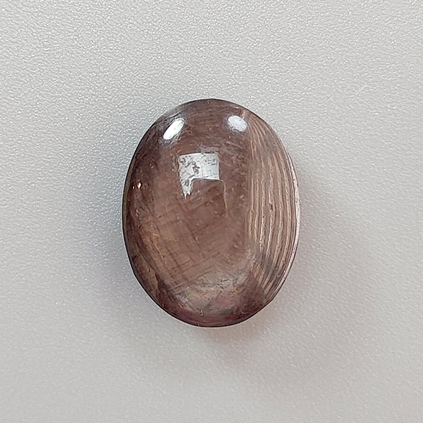 Star Sapphire Gemstone Cabochon: 25.00cts Natural Untreated Golden Brown Chocolate 6Ray Star Sapphire Oval Shape 19*15mm 1pc For Jewelry