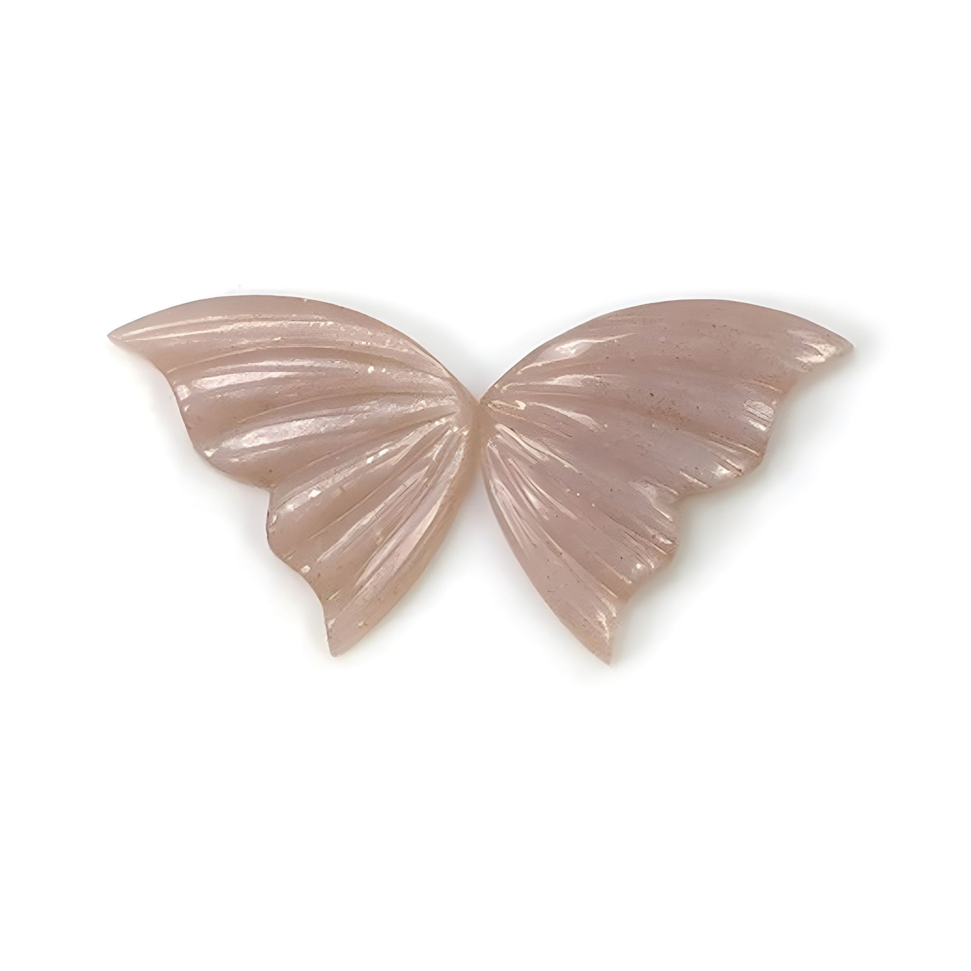 نحت الفراشة على حجر القمر