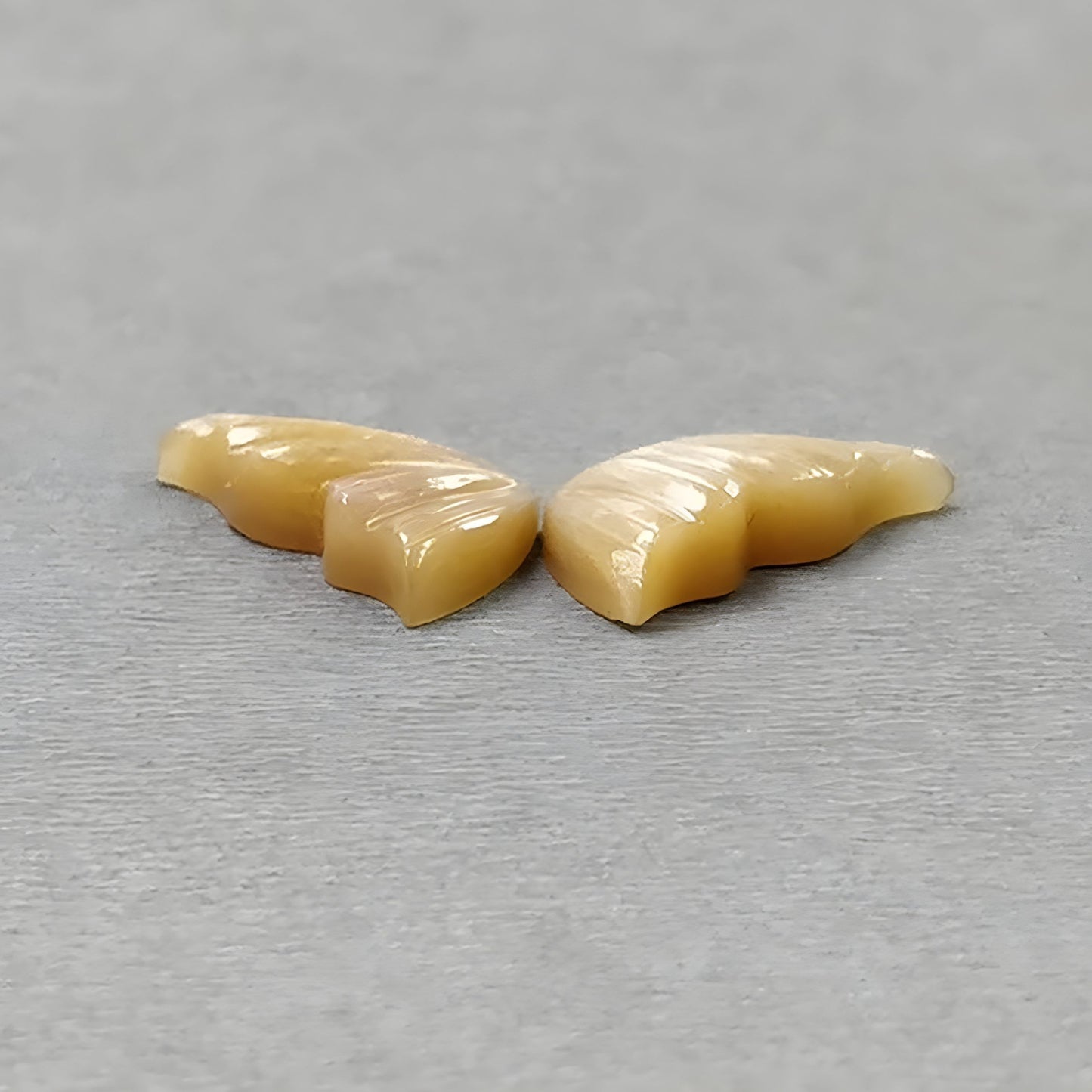 Mondstein-Edelstein-Schmetterling