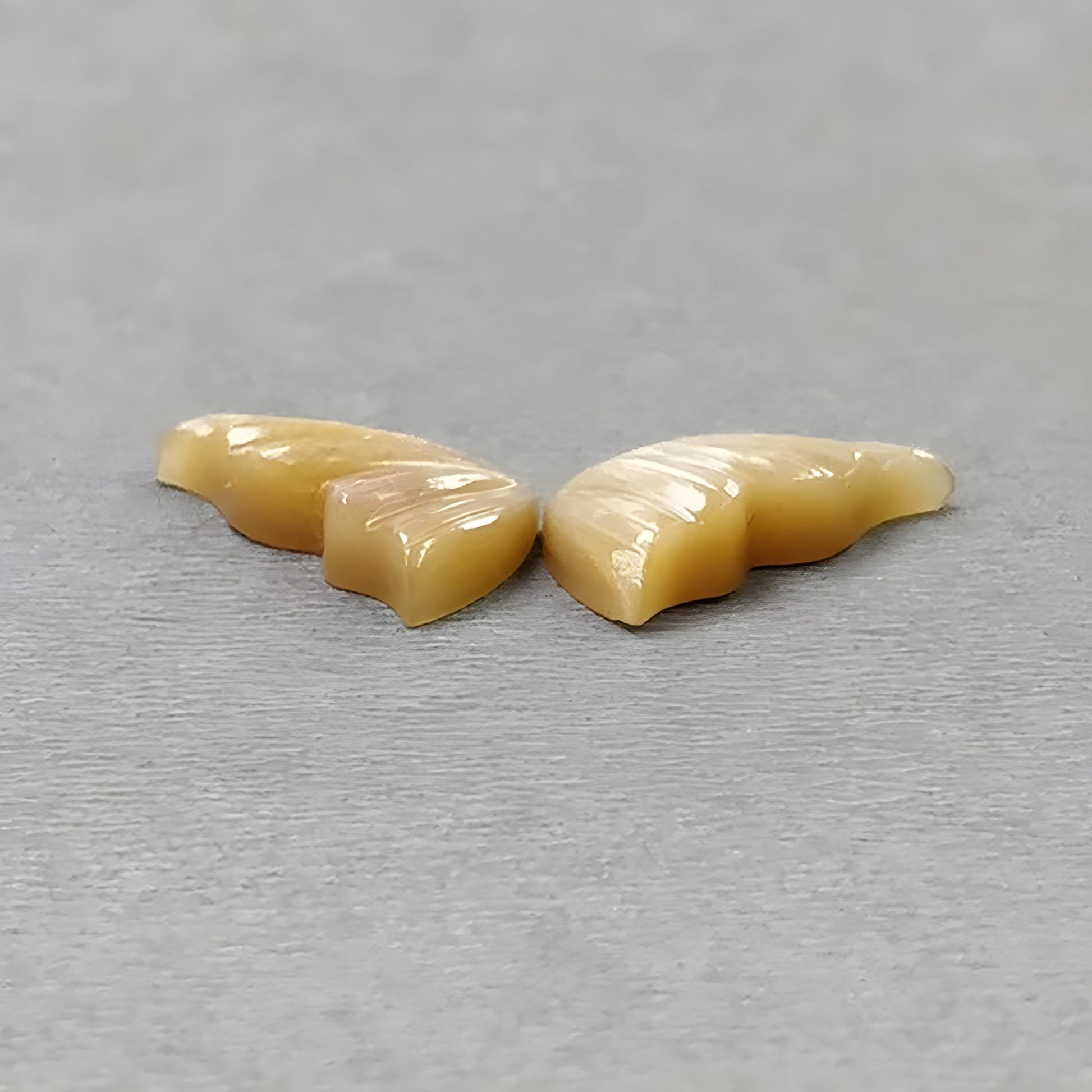 Mondstein-Edelstein-Schmetterling