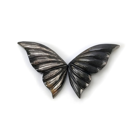 Pierre précieuse de lune noire