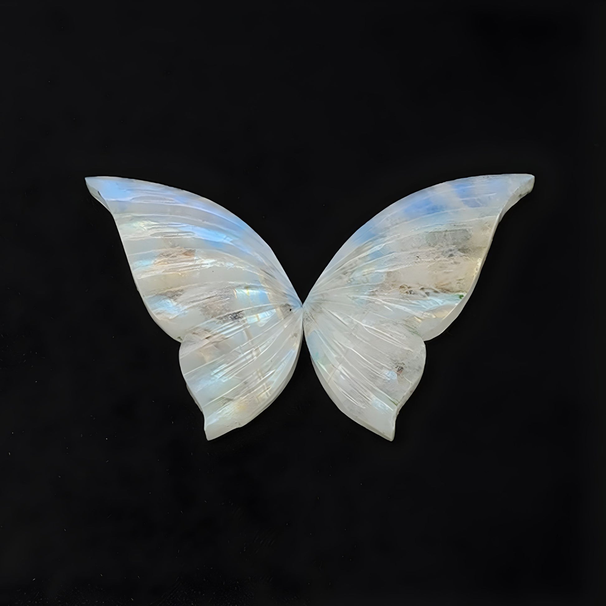 moonstone butterfly carving