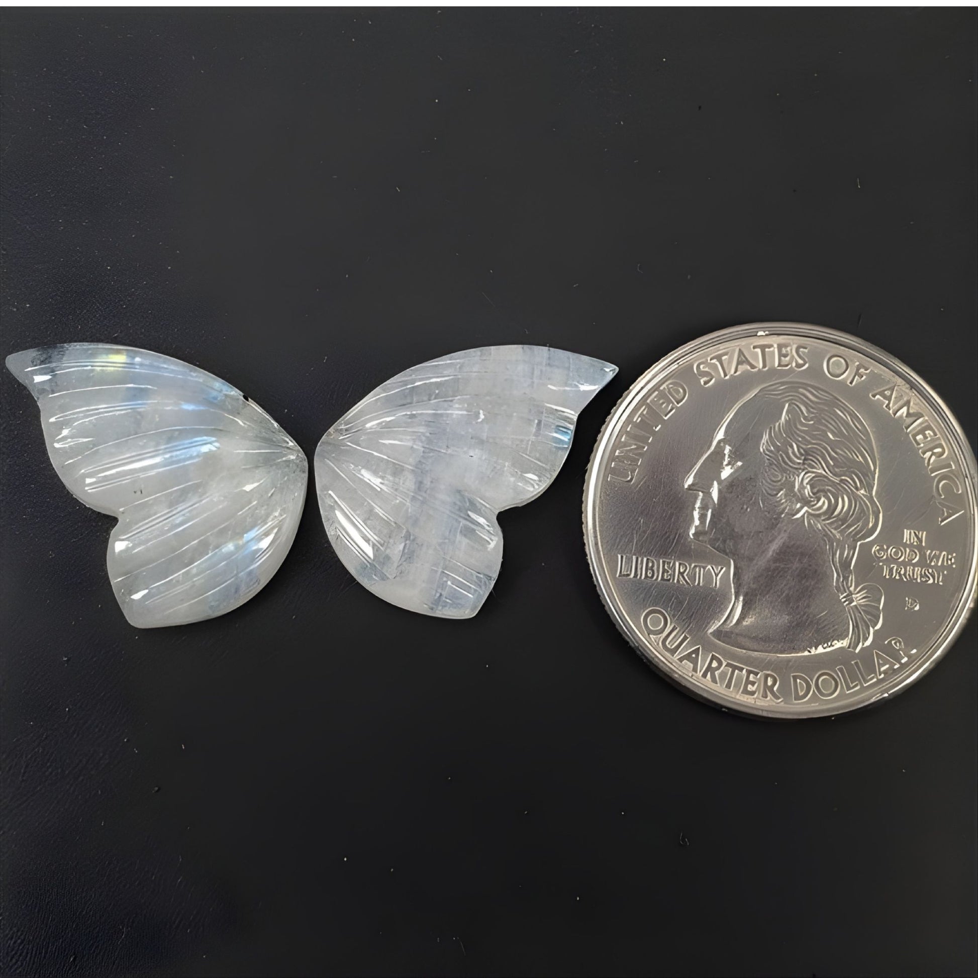 فراشة حجر القمر قوس قزح