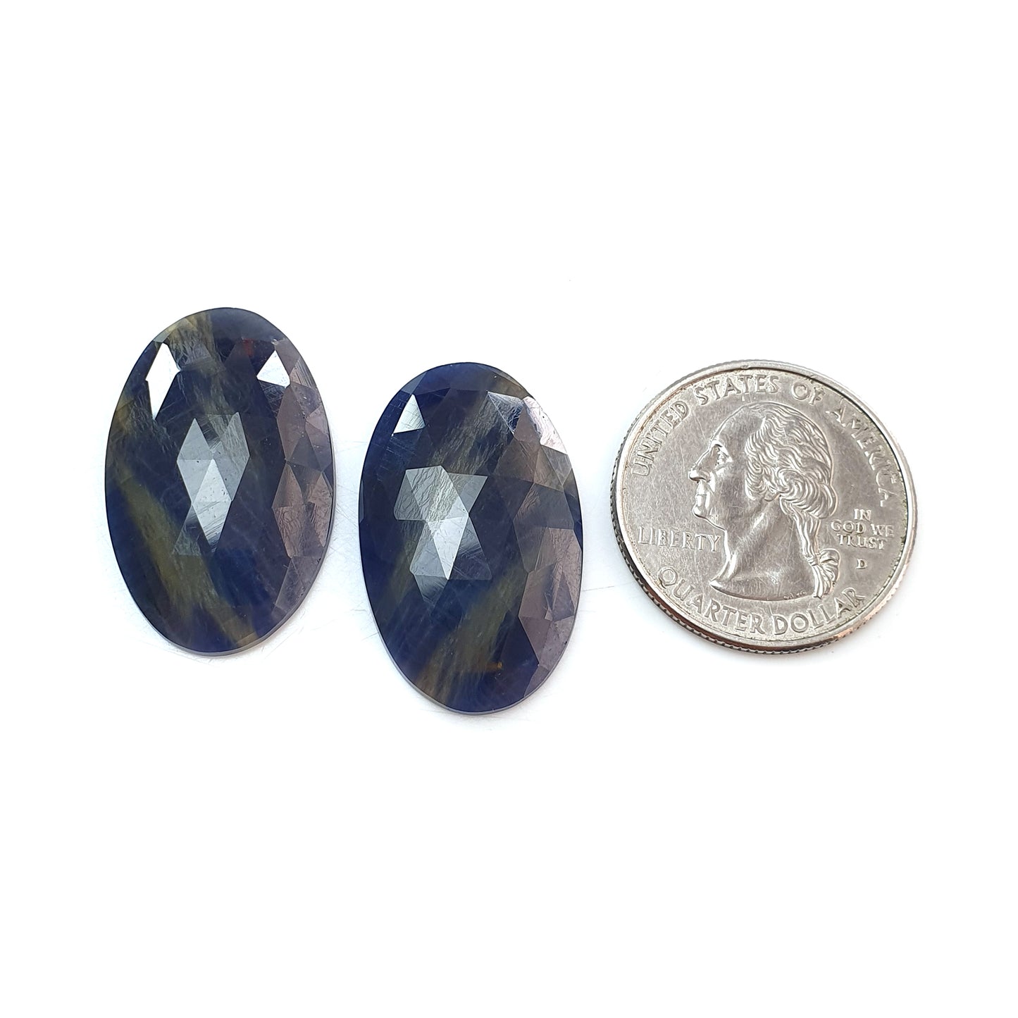 الياقوت ذو الظهر المسطح