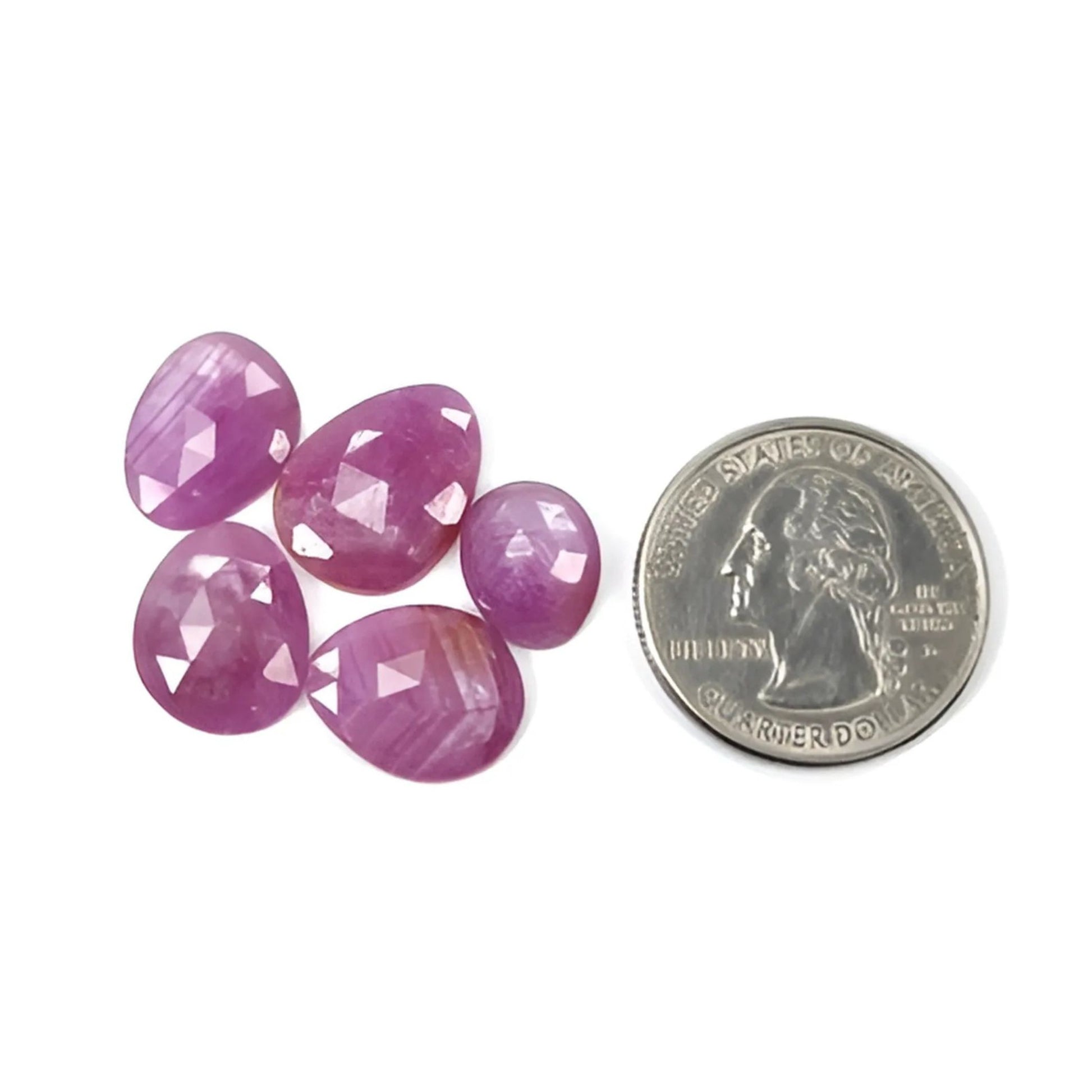 وردة مقطوعة بشكل غير متساوٍ بلون التوت الأحمر