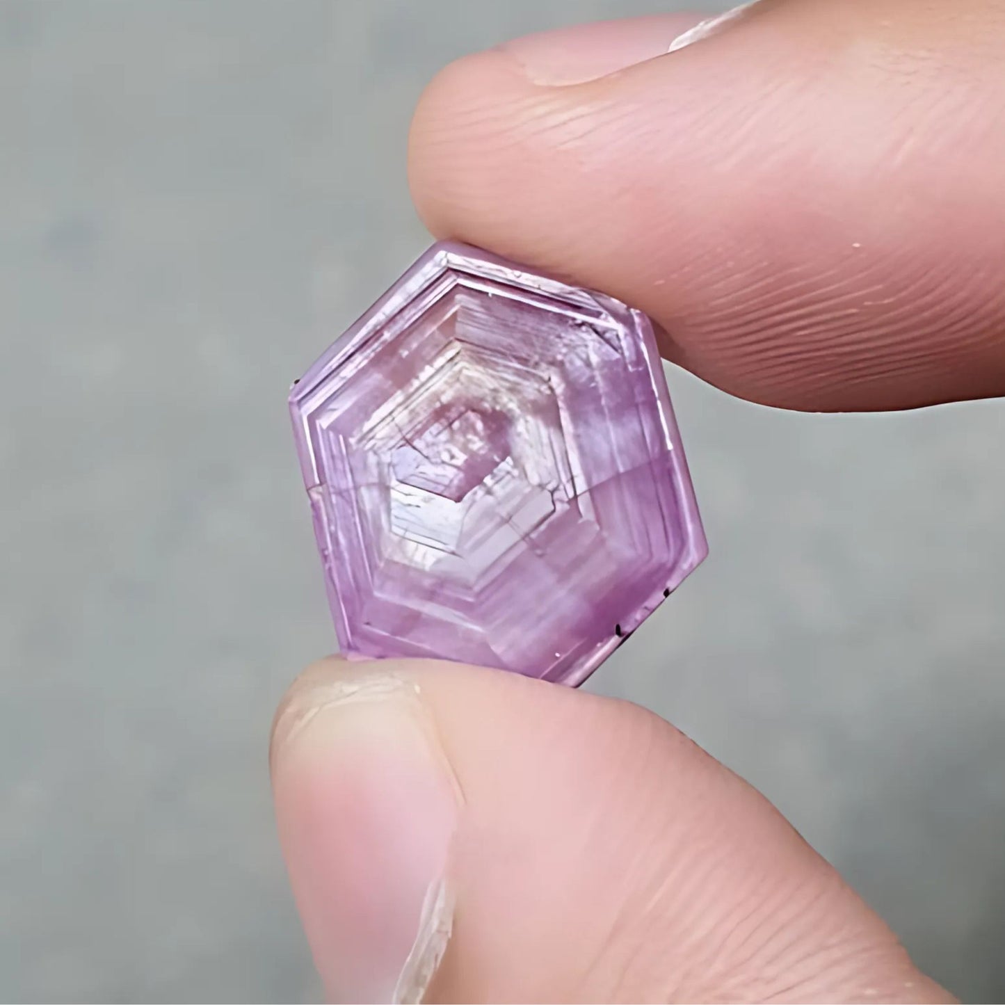 ローズマリールビーの平切り