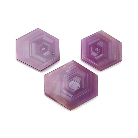 rosemary ruby hexagon shape flat slices