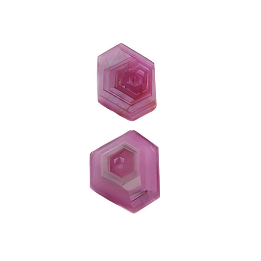 rosemary ruby hexagon shape flat slices