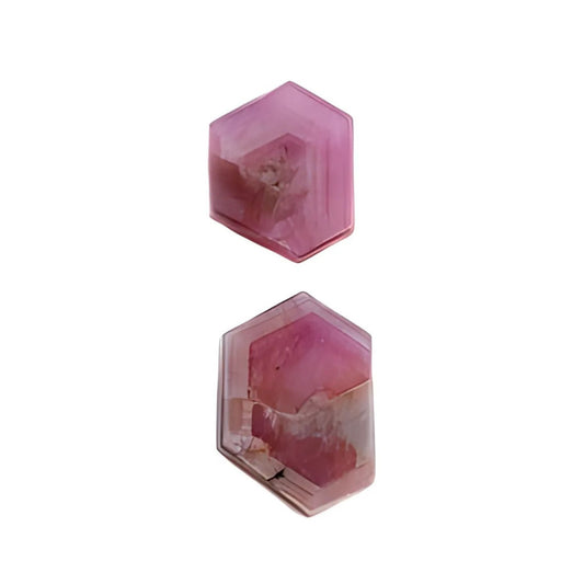 rosemary ruby hexagon shape flat slices