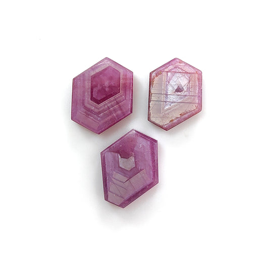 rosemary ruby hexagon shape flat slices