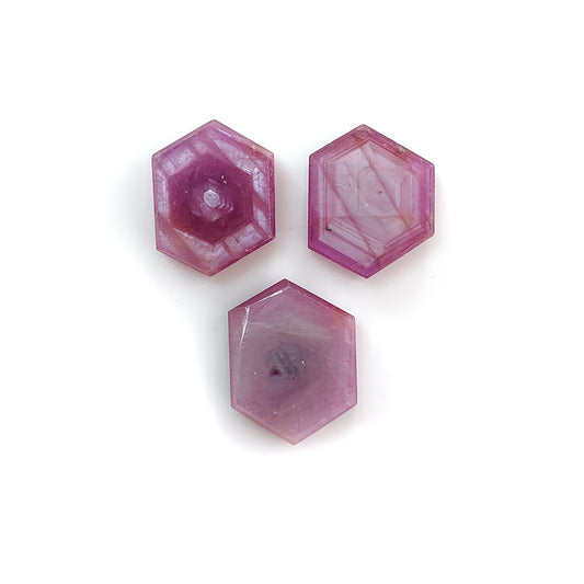 rosemary ruby hexagon shape flat slices