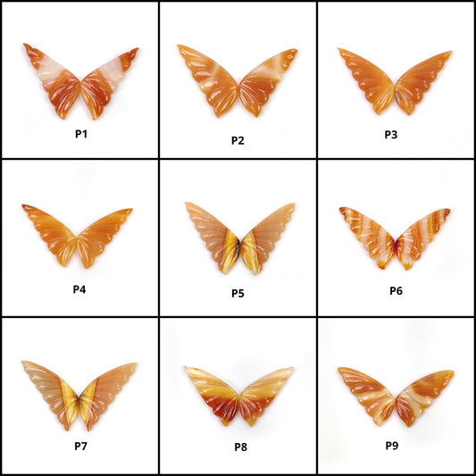 Butterfly's Pair
