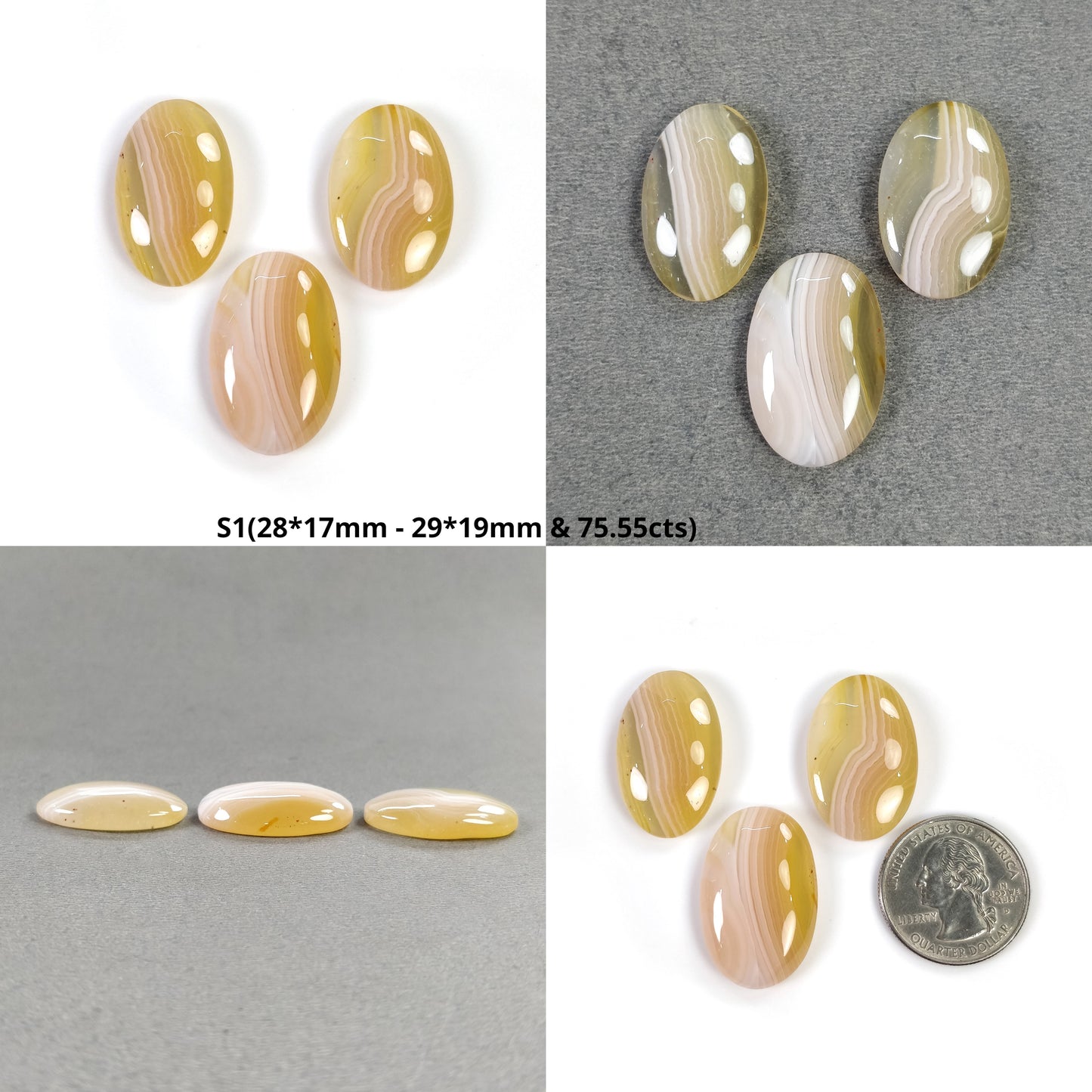 Oval Shape