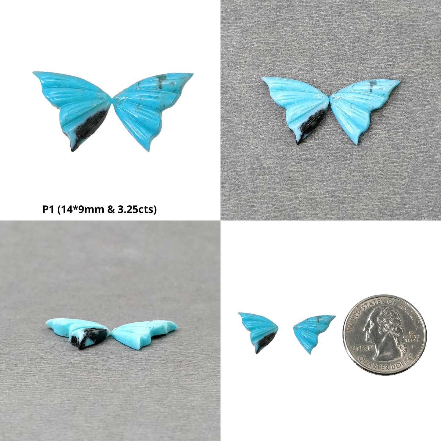 Butterfly's Pair