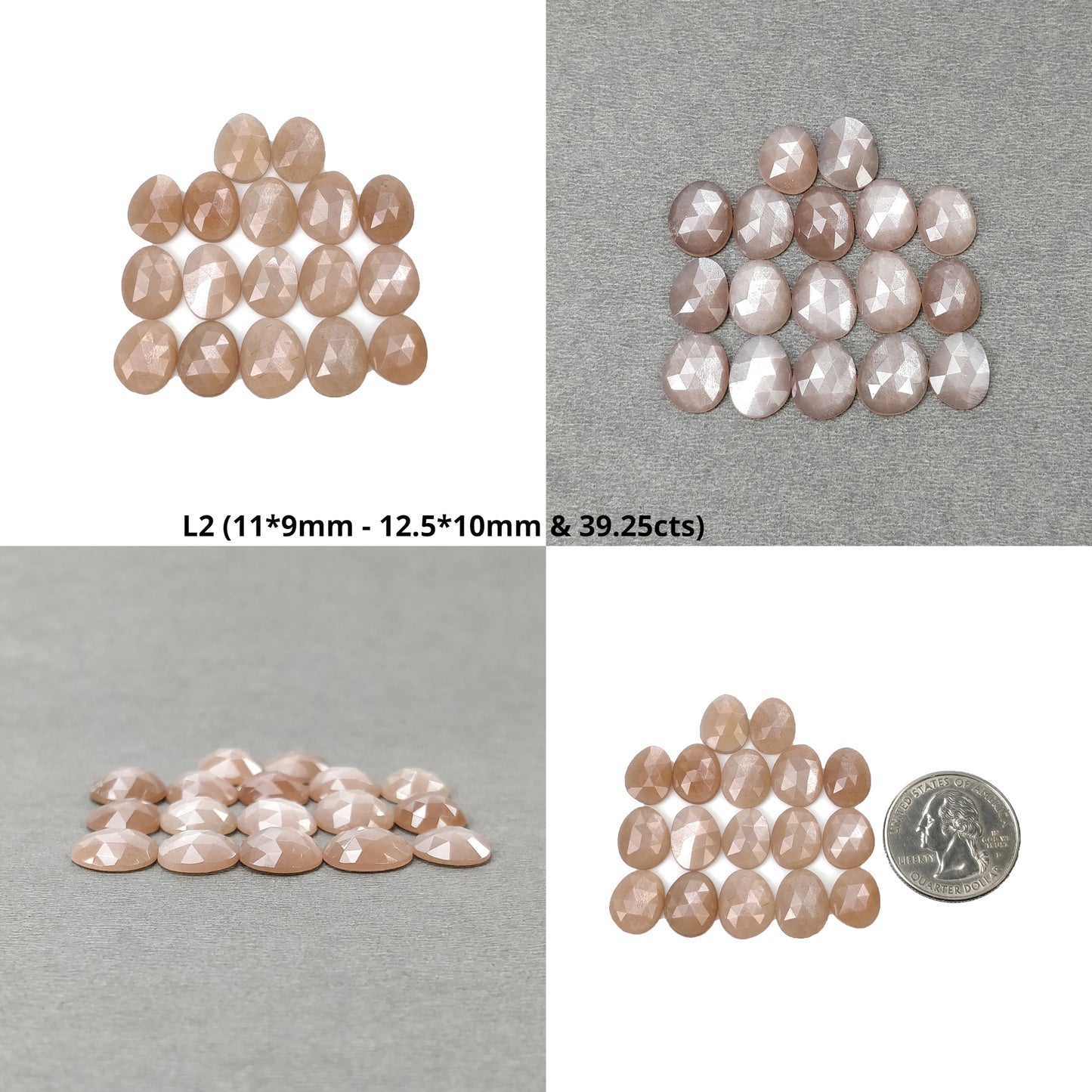 Multi Color MOONSTONE Gemstone Rose Cut : Natural Untreated Unheated Moonstone Uneven Egg Shape 17pcs 18pcs 19pcs