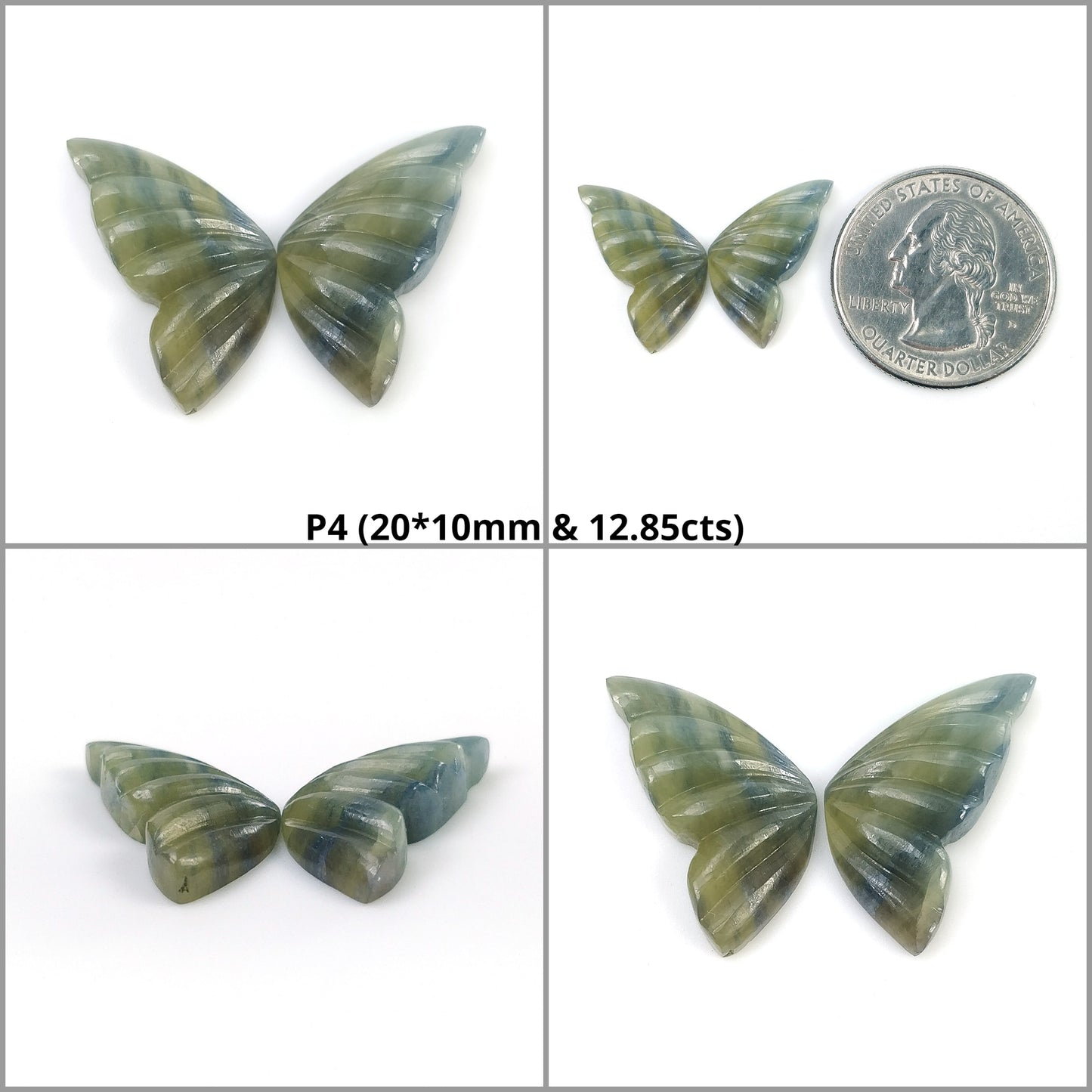 Bi-Color Butterfly