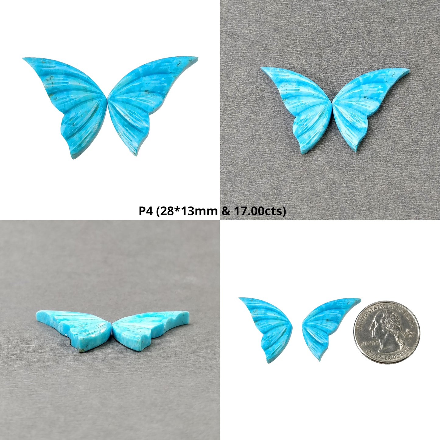 Turquoise Butterfly