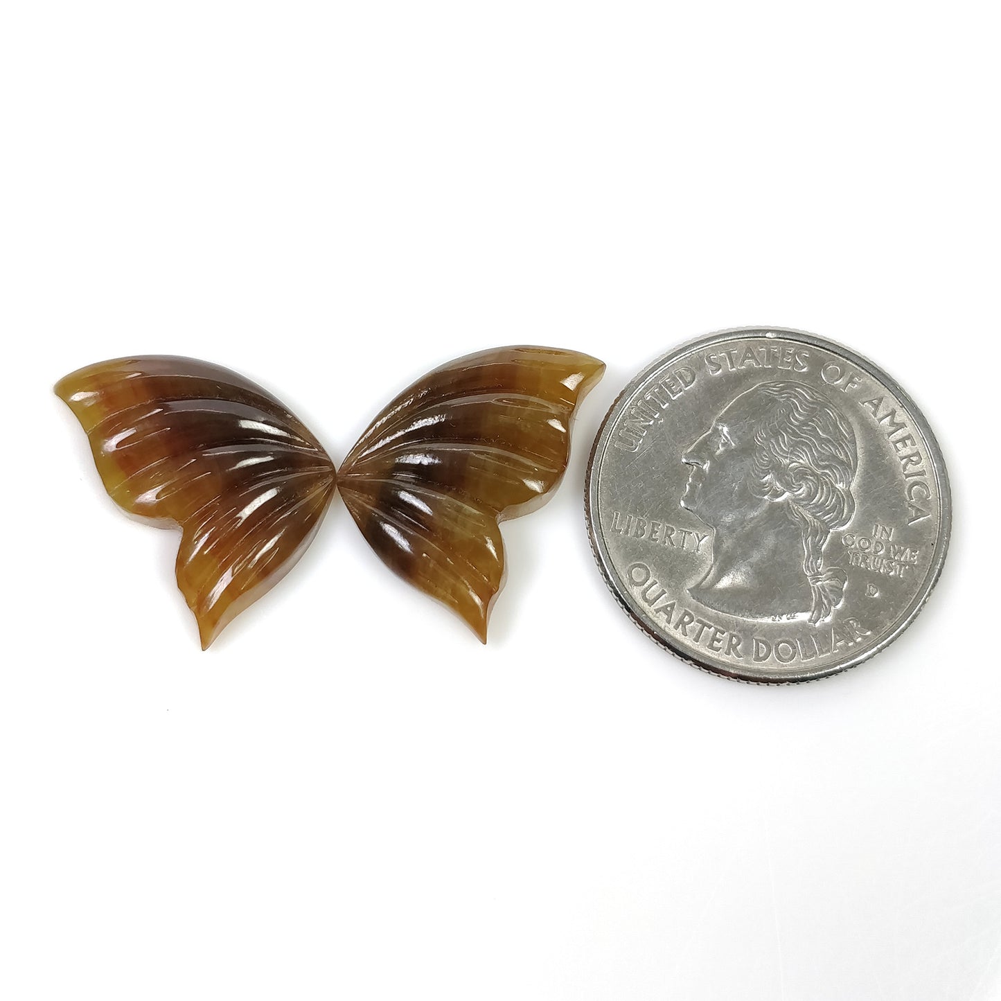 Sapphire Butterfly