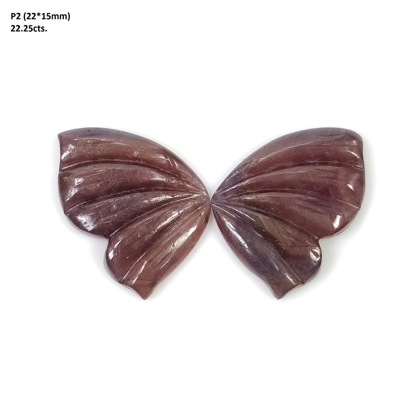Sapphire Butterfly