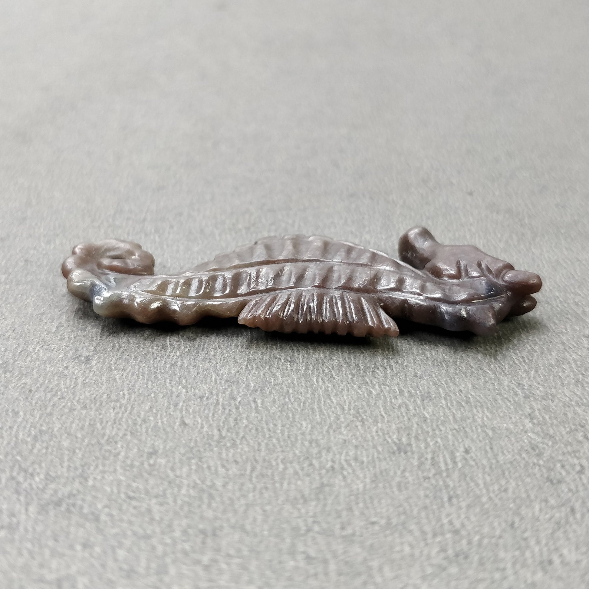 Sea Horse