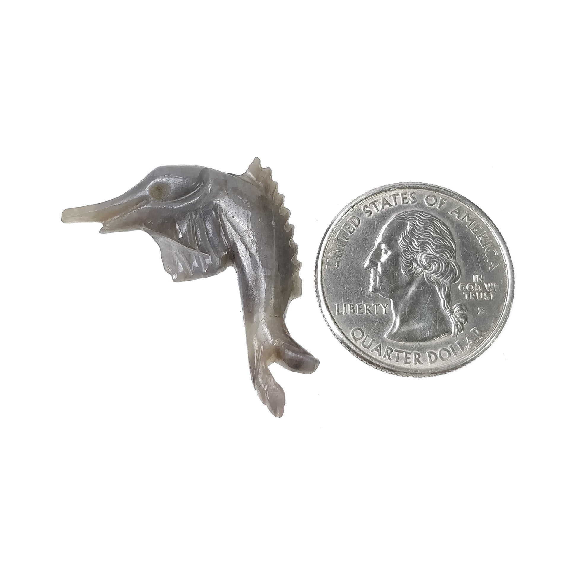 Hand Carved Dolphine