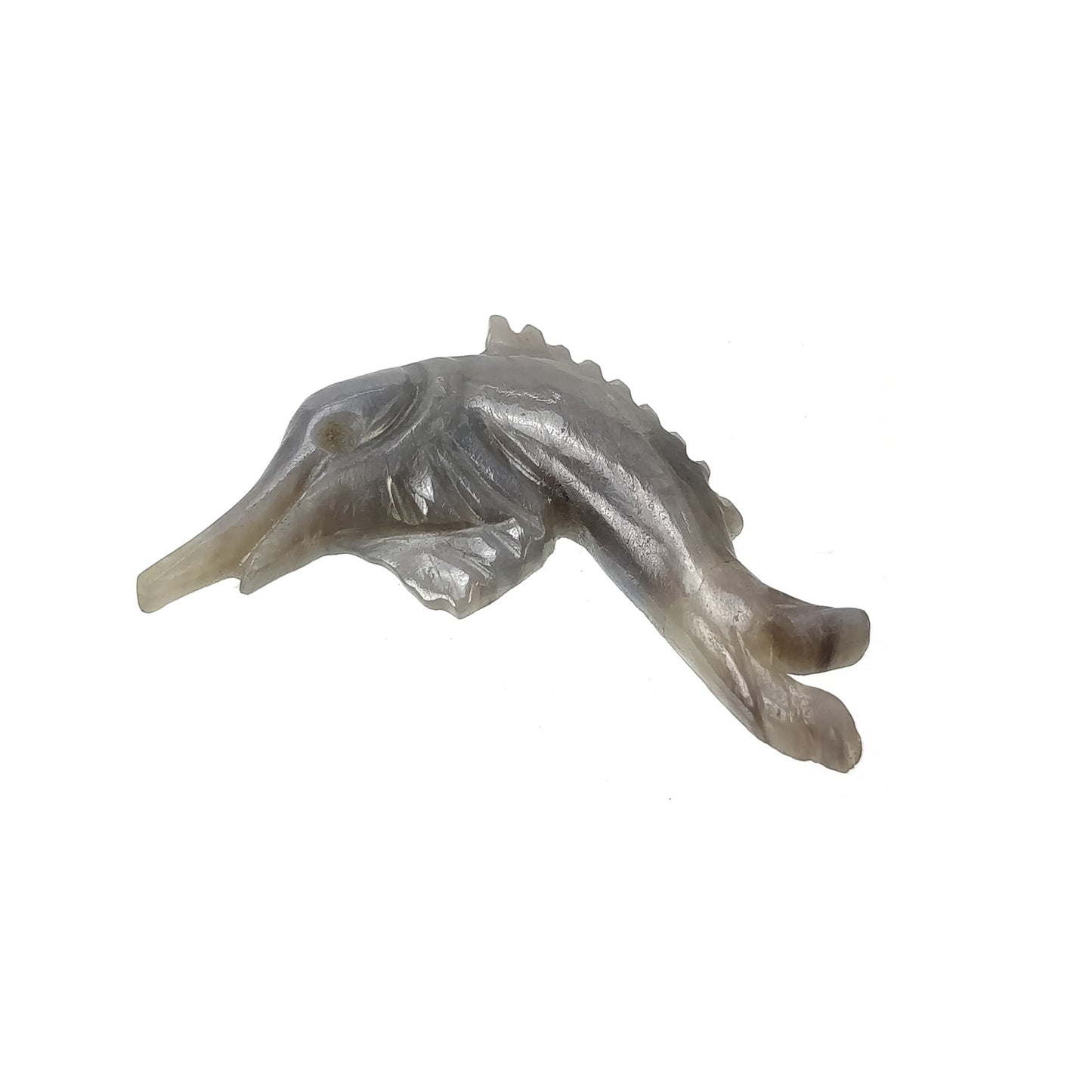 Dolphine Carving