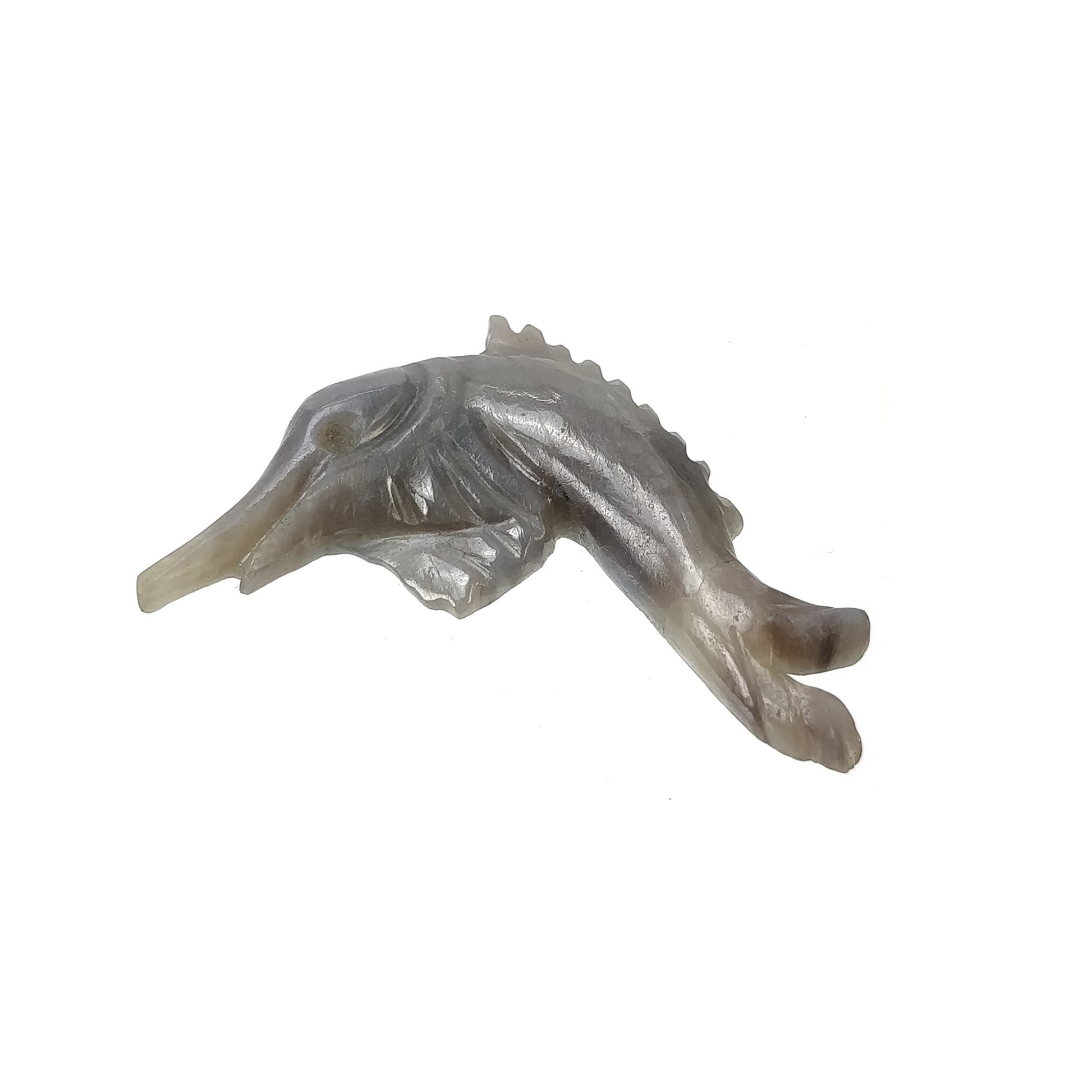 Dolphine Carving